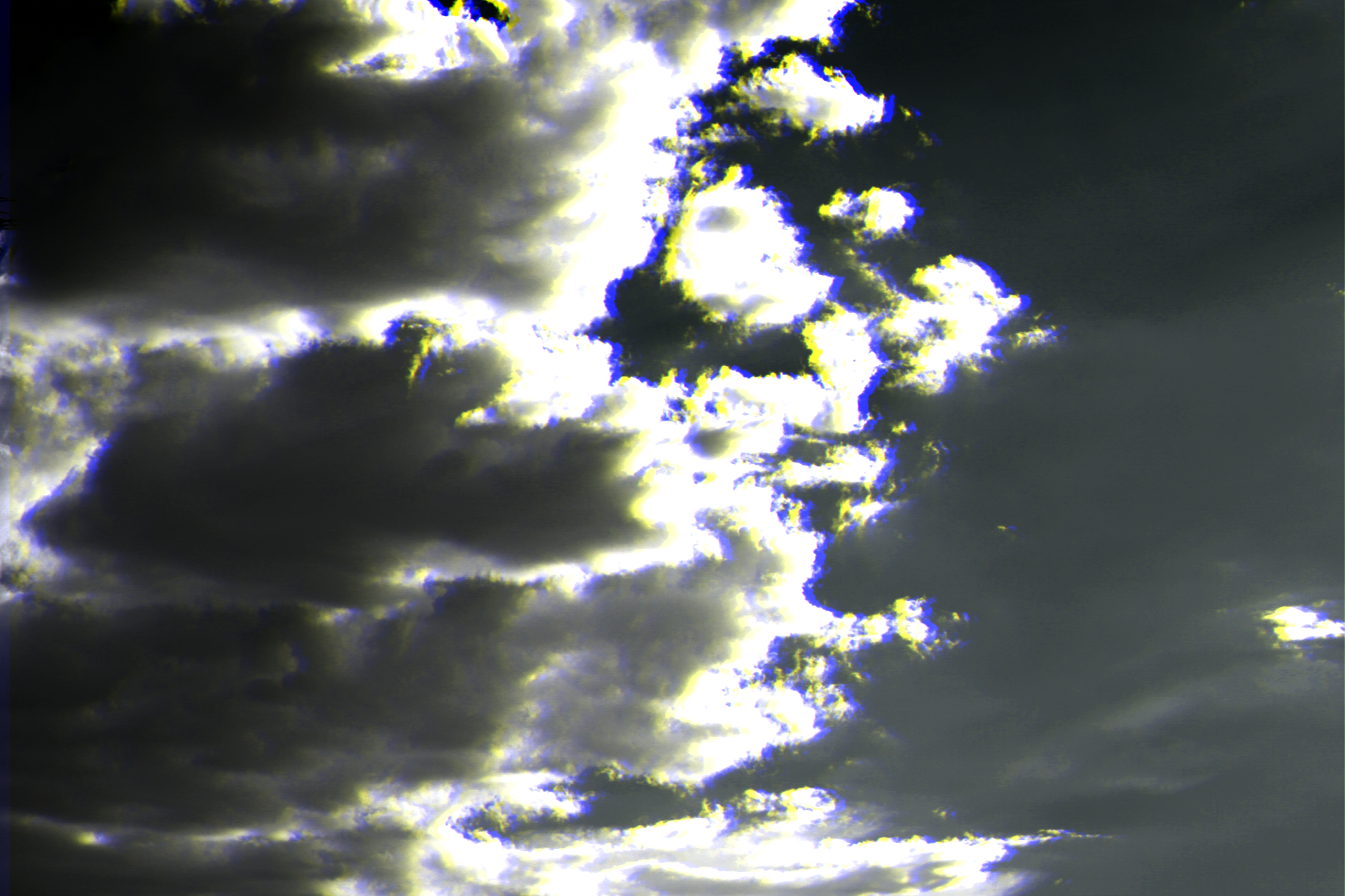 Copy of inbound7574054361763026814 - Daveion Manuel.png