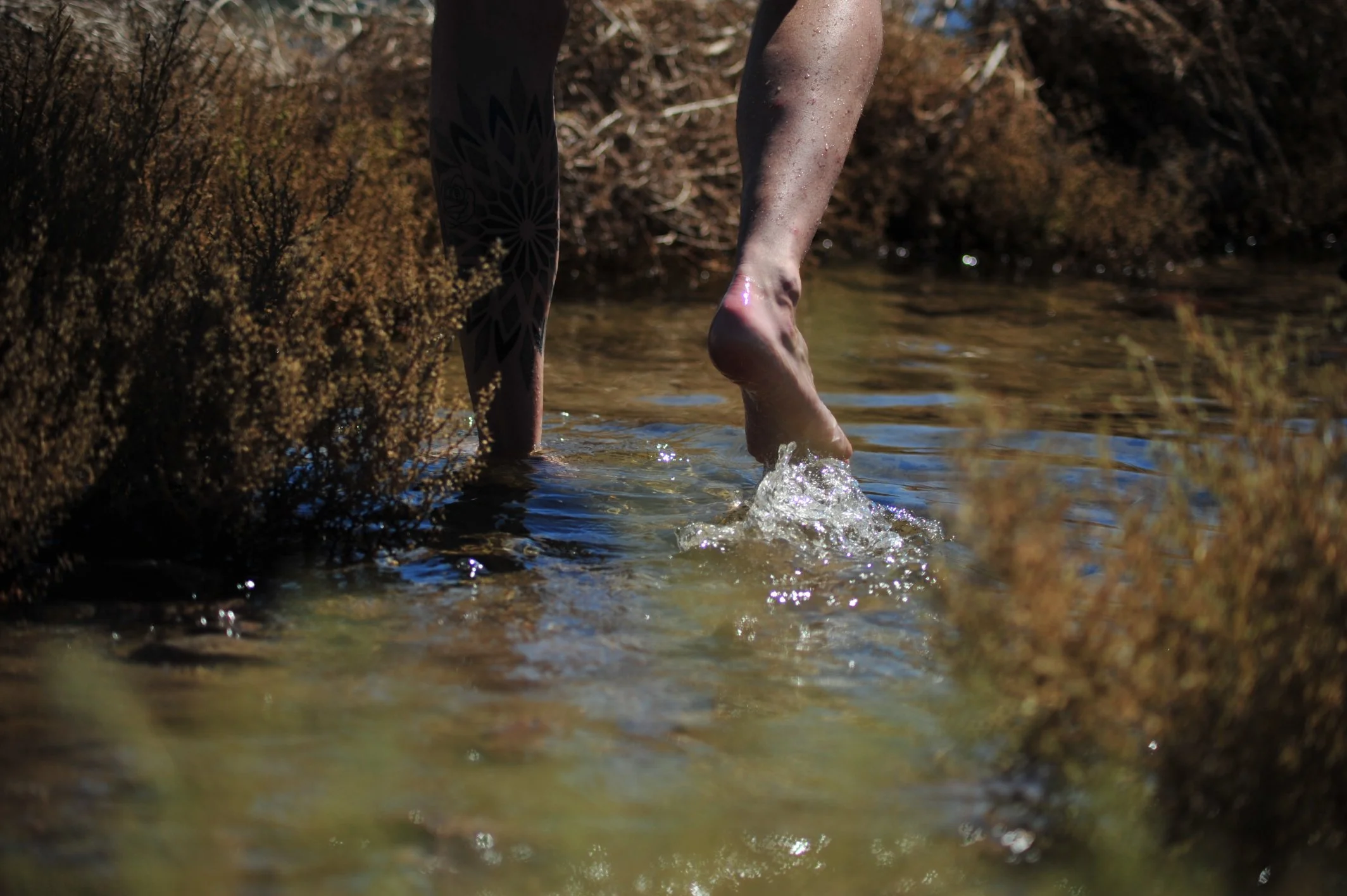DSC_7468 - Joshua Harris (1).JPG