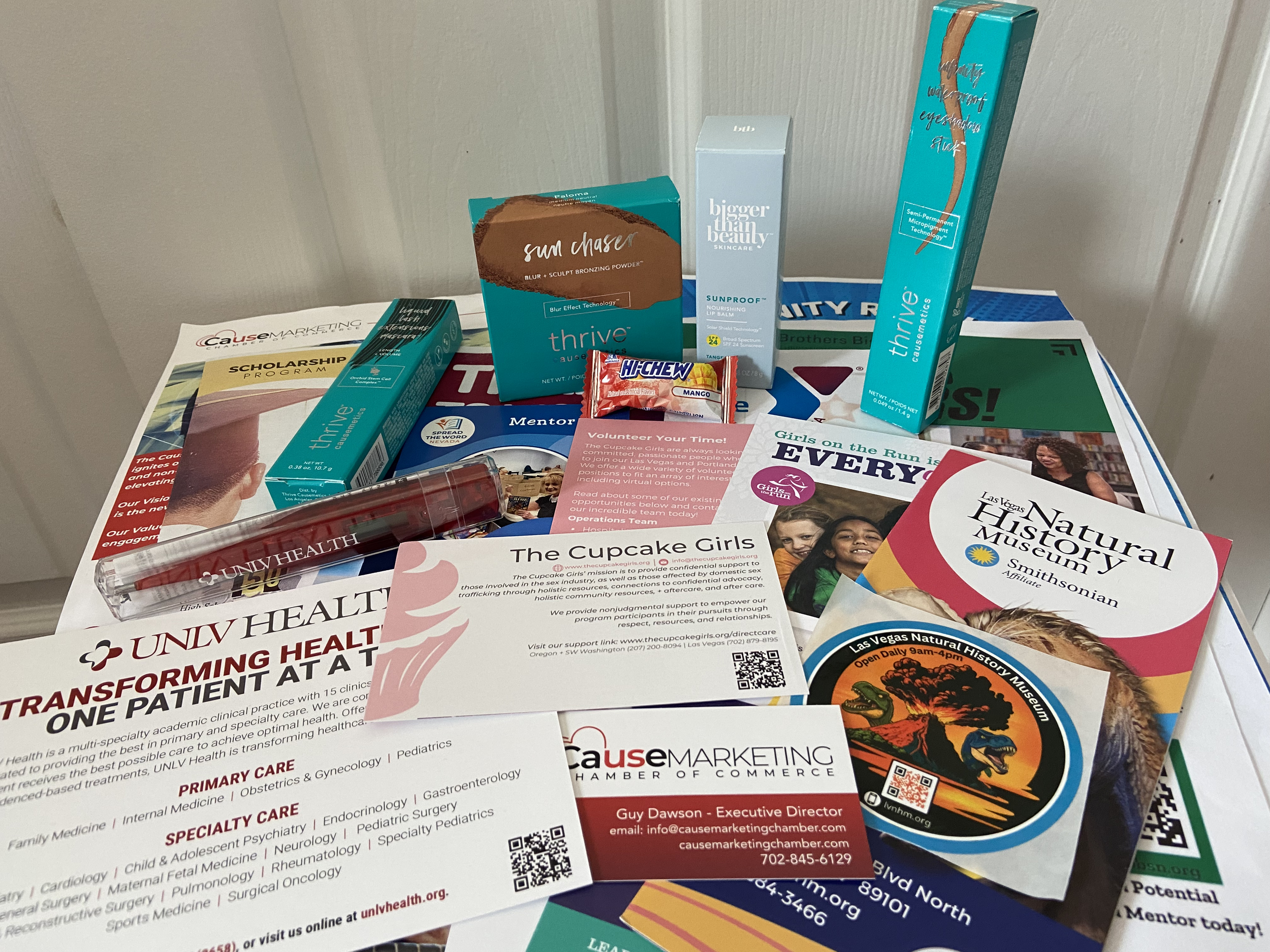 Brochures, business cards, fliers, makeup, a thermometer, and candy freebies from non-profit organizations at the career fair.