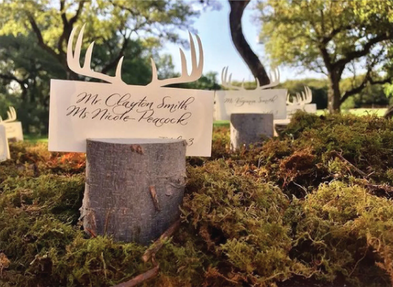 optimized-Seating Photos-65.jpg