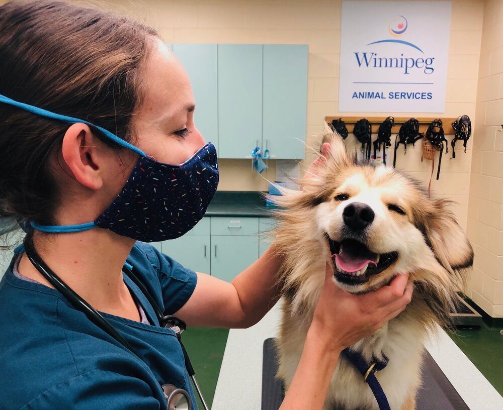 Winnipeg Animal Services — The Tiny Vet Chronicles with Dr. Samyra