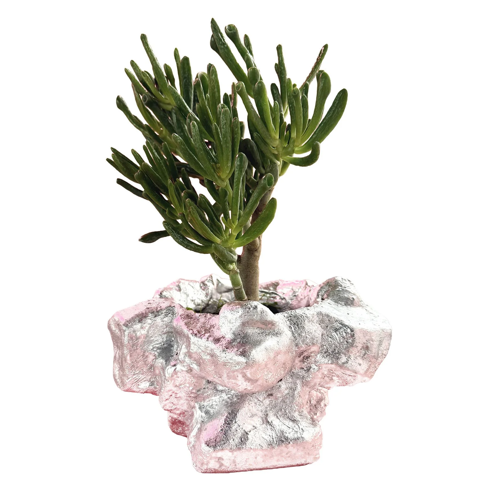 Screenshot 2026-03-05 at 3_0000s_0001_Ore II clipped.jpg