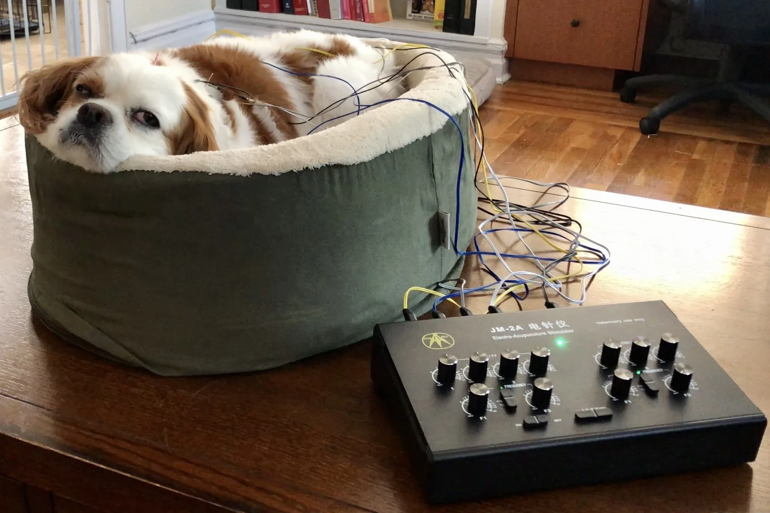 A relaxing electro-acupuncture session.