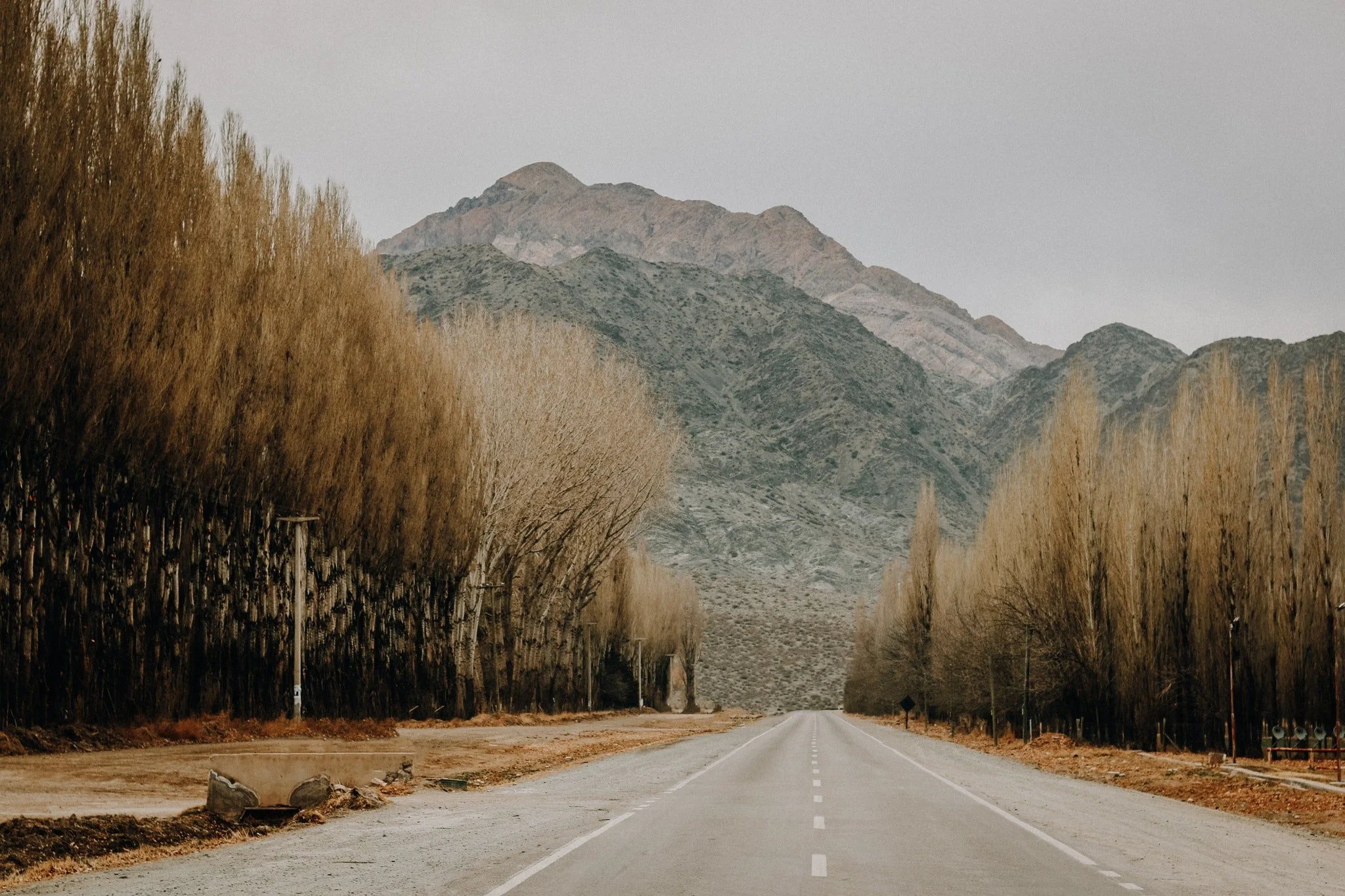 The Way To Peace