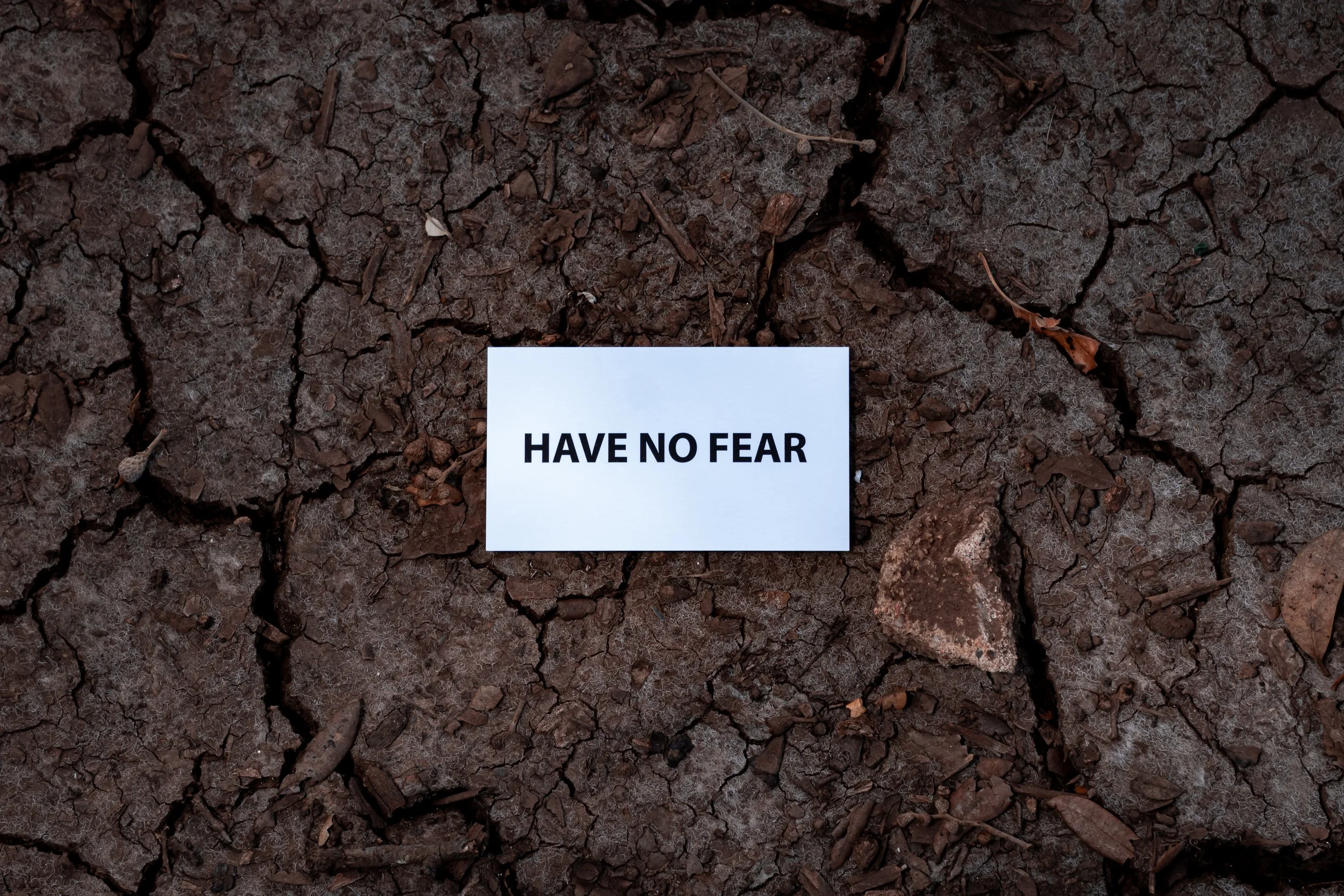 Conquering Your Fears
