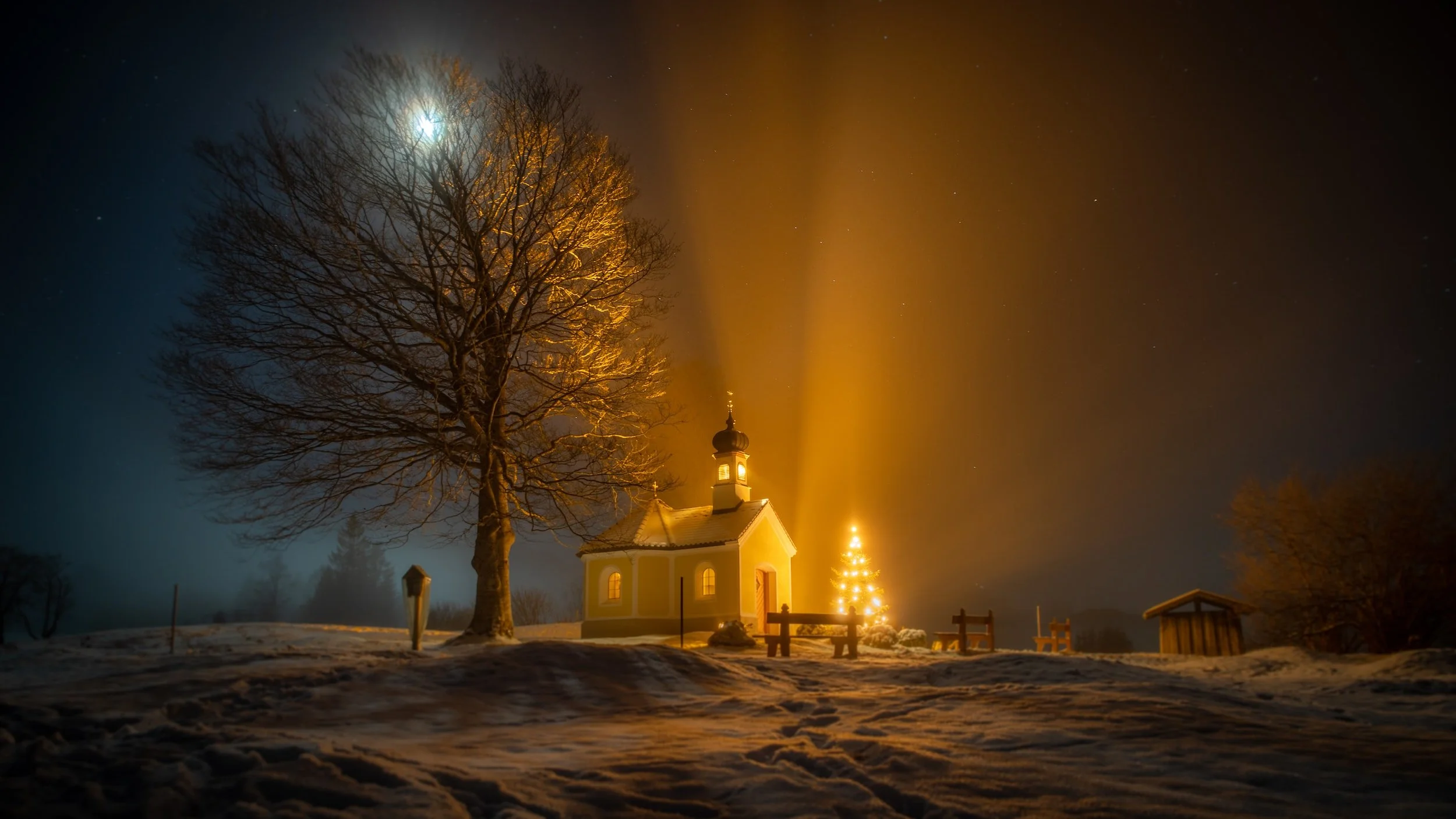 The Light of Christmas