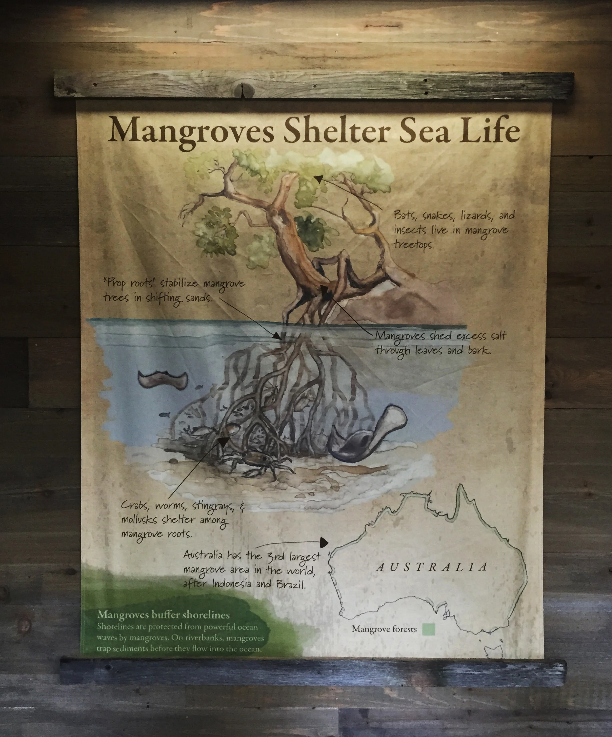 Stingray Bay watercolor canvas print