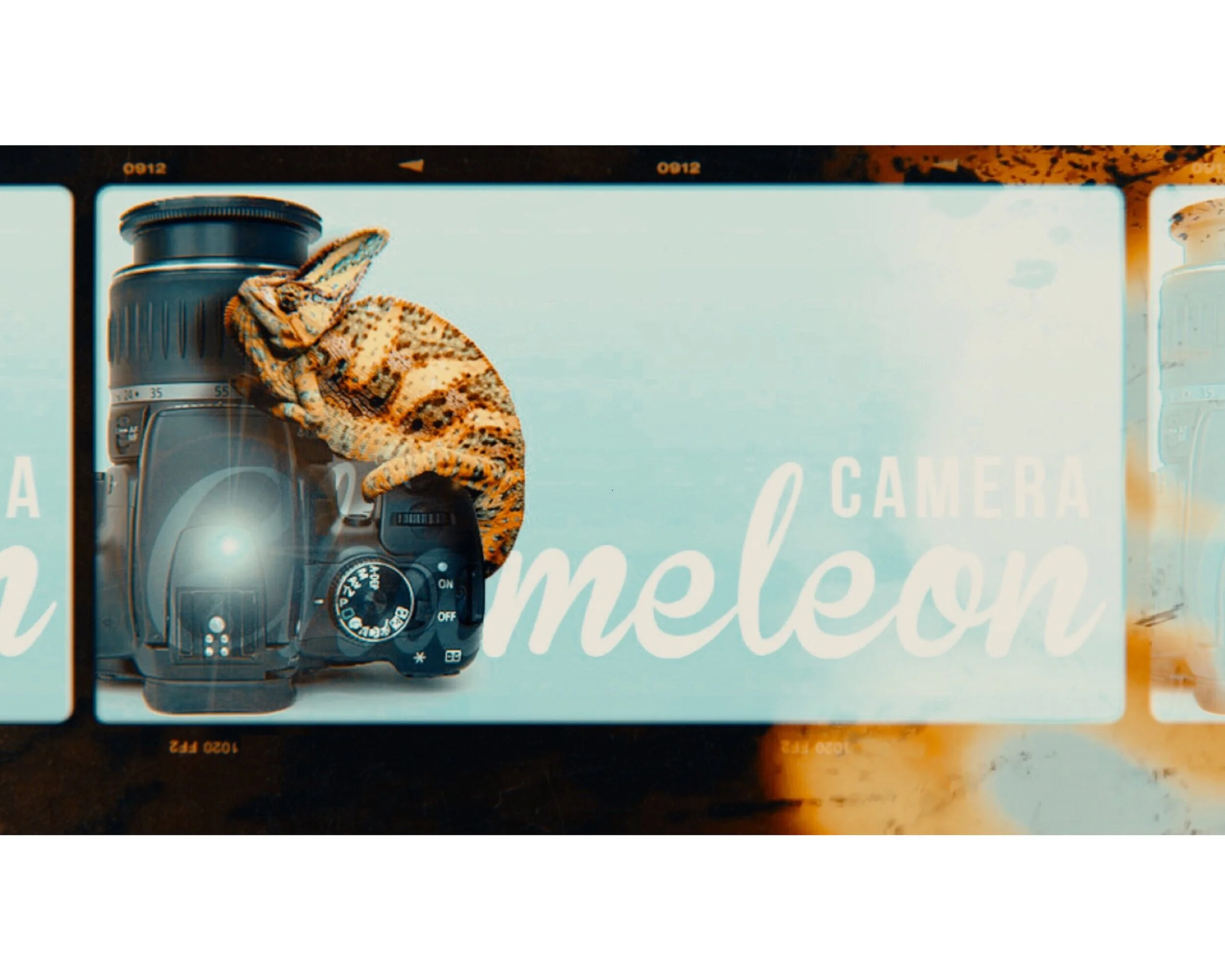 CameraChameleon.jpg