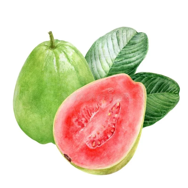 Guava And Cheese-Cake