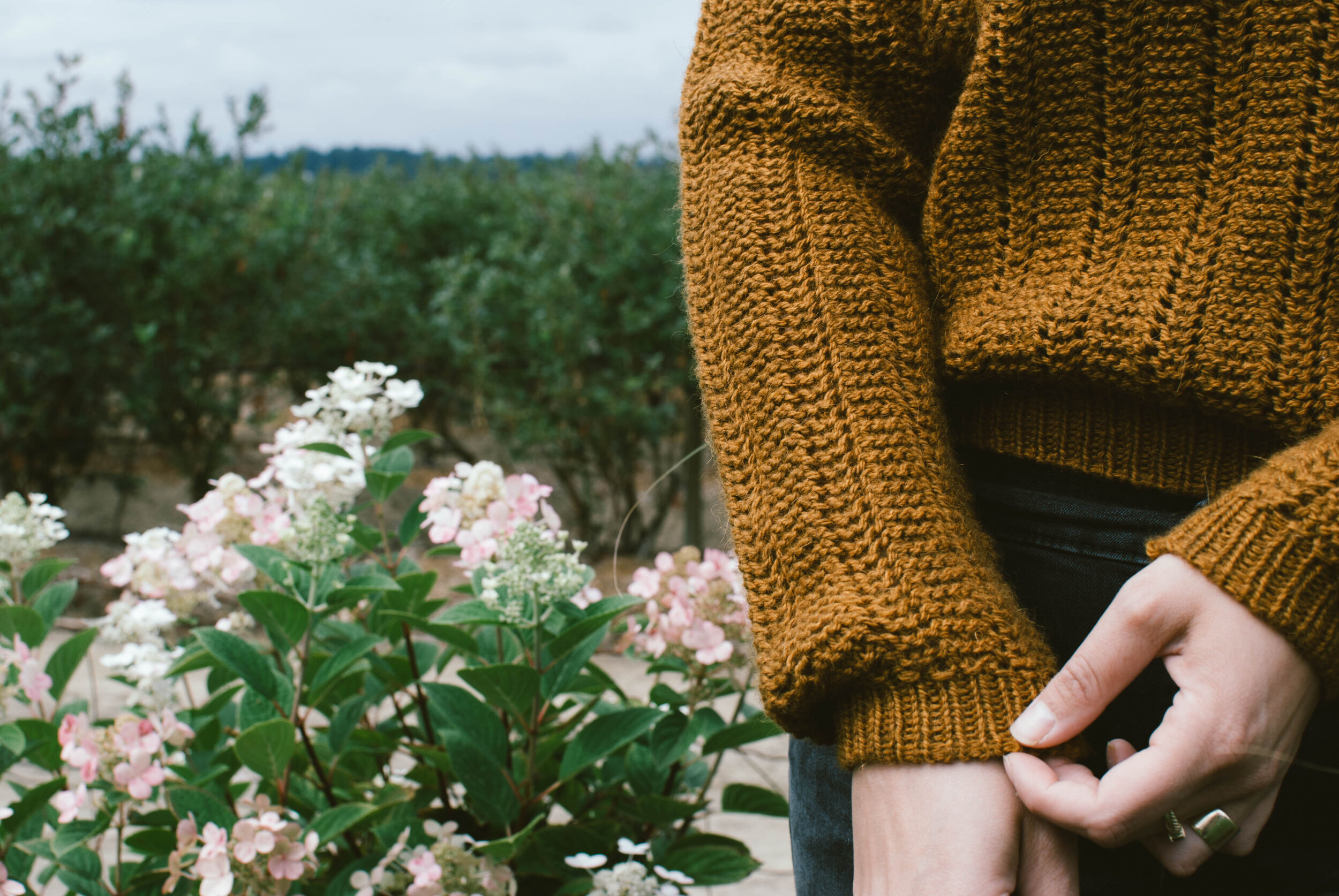 PIP_and_PIN_Knit-Pattern_Catbells_Sweater_1.jpg