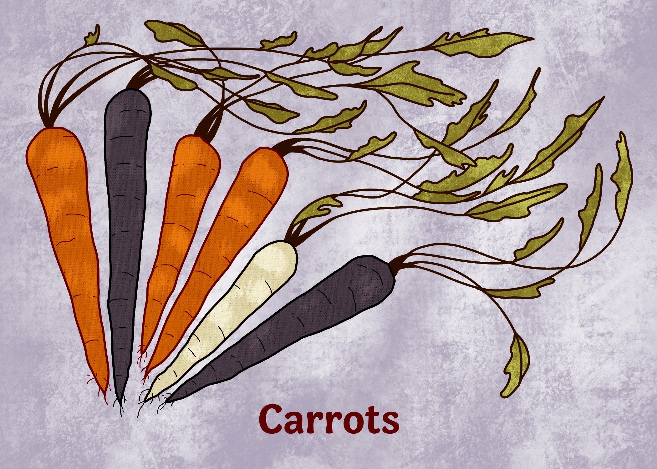 Carrots.jpeg