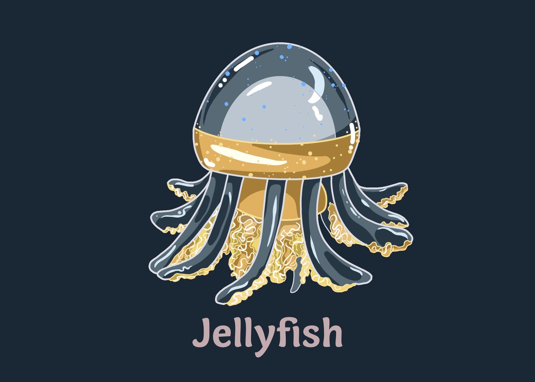 Jellyfish_.jpeg