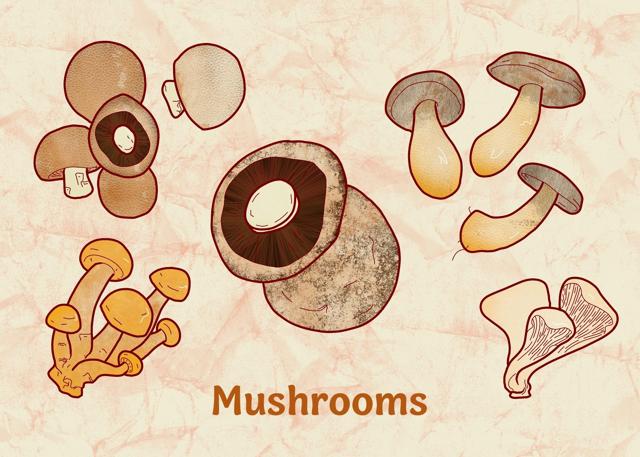 Mushrooms.jpeg