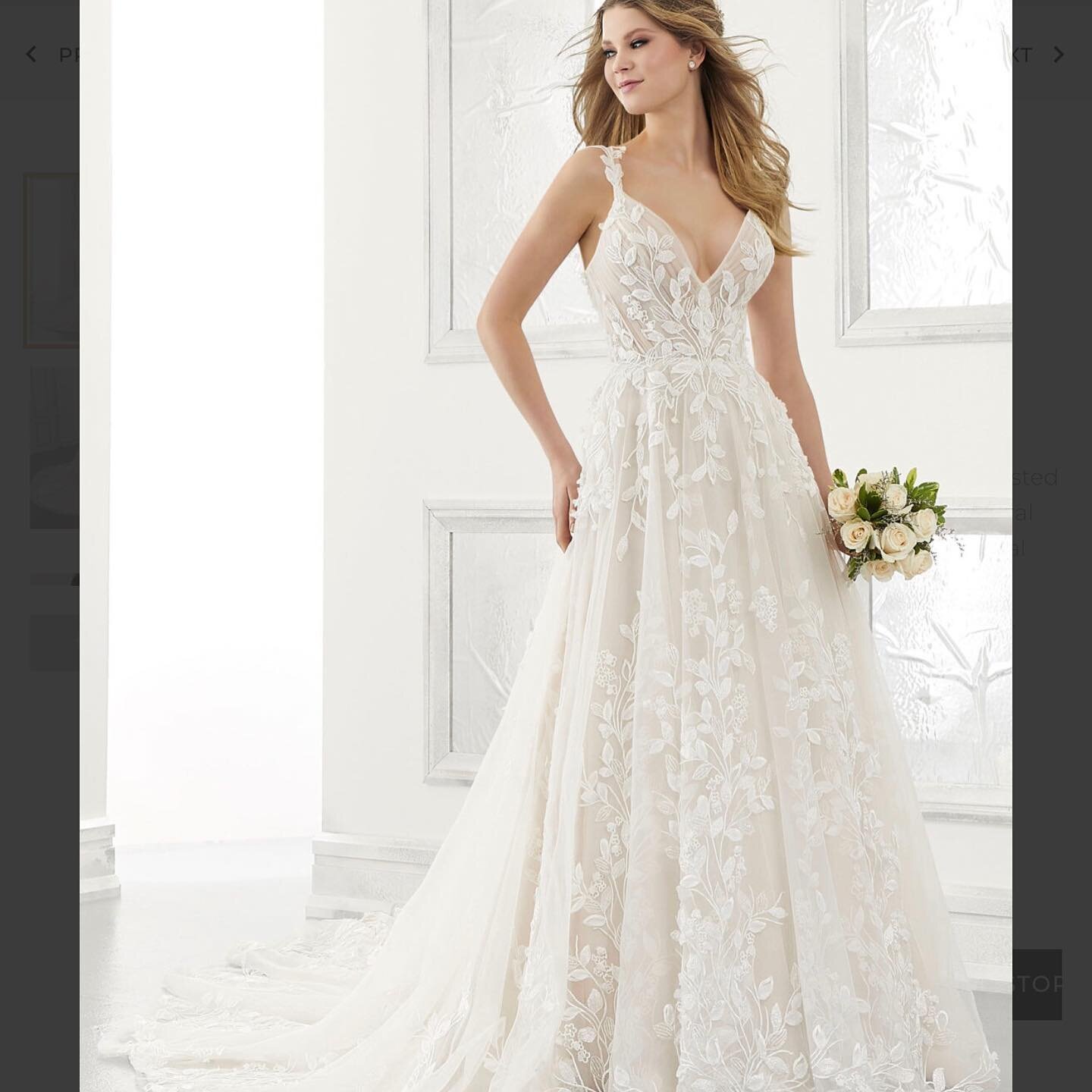 Book your appointment today to find your perfect gown