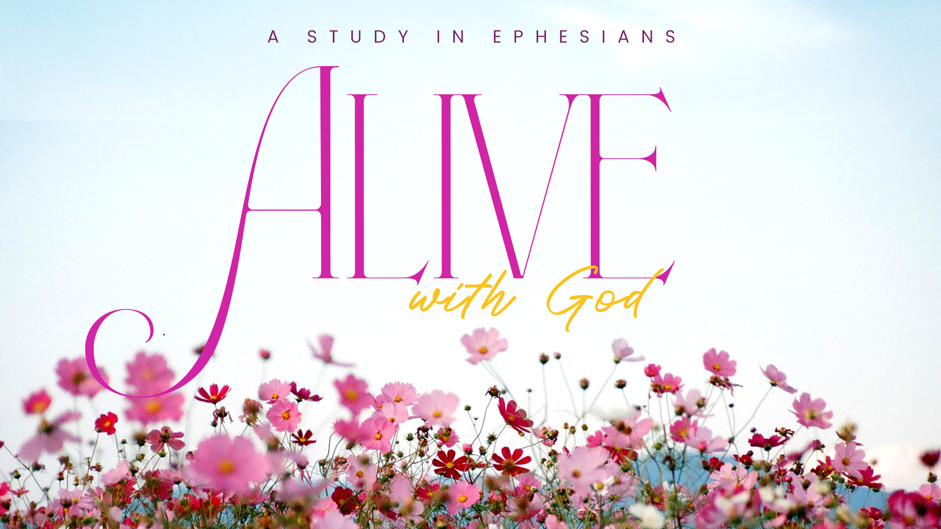 Alive_StudyInEphesians.png
