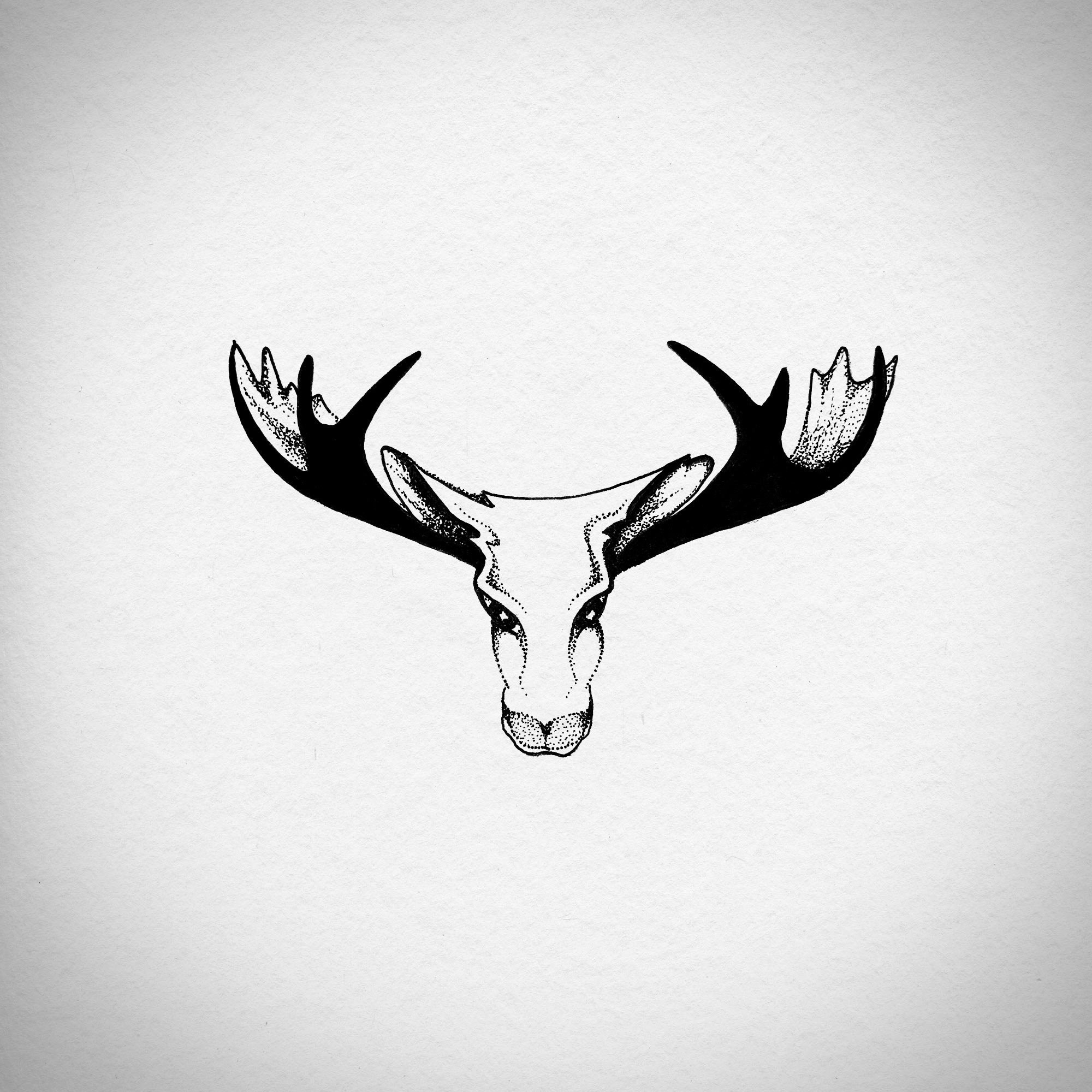 moose.jpg