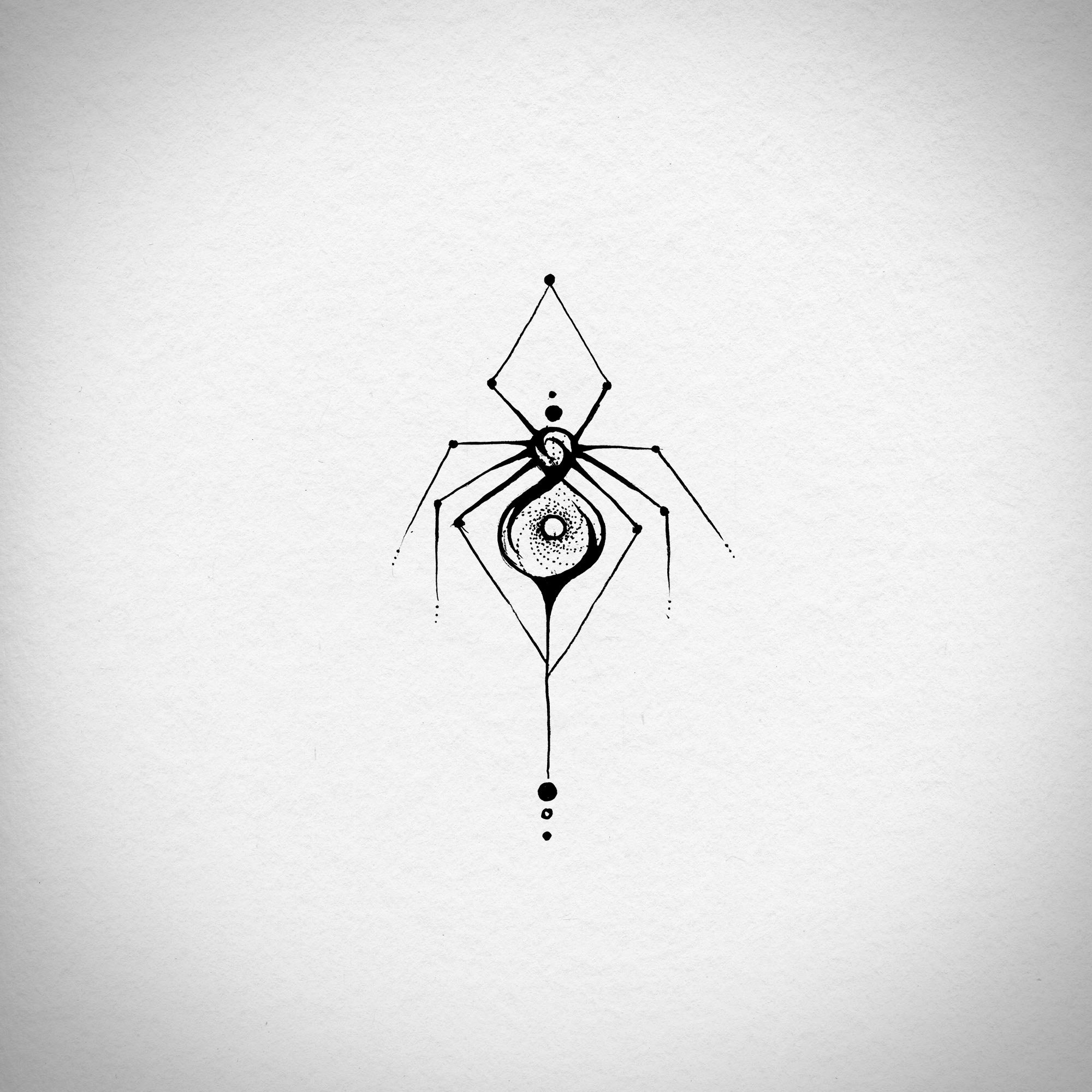 spider3.jpg
