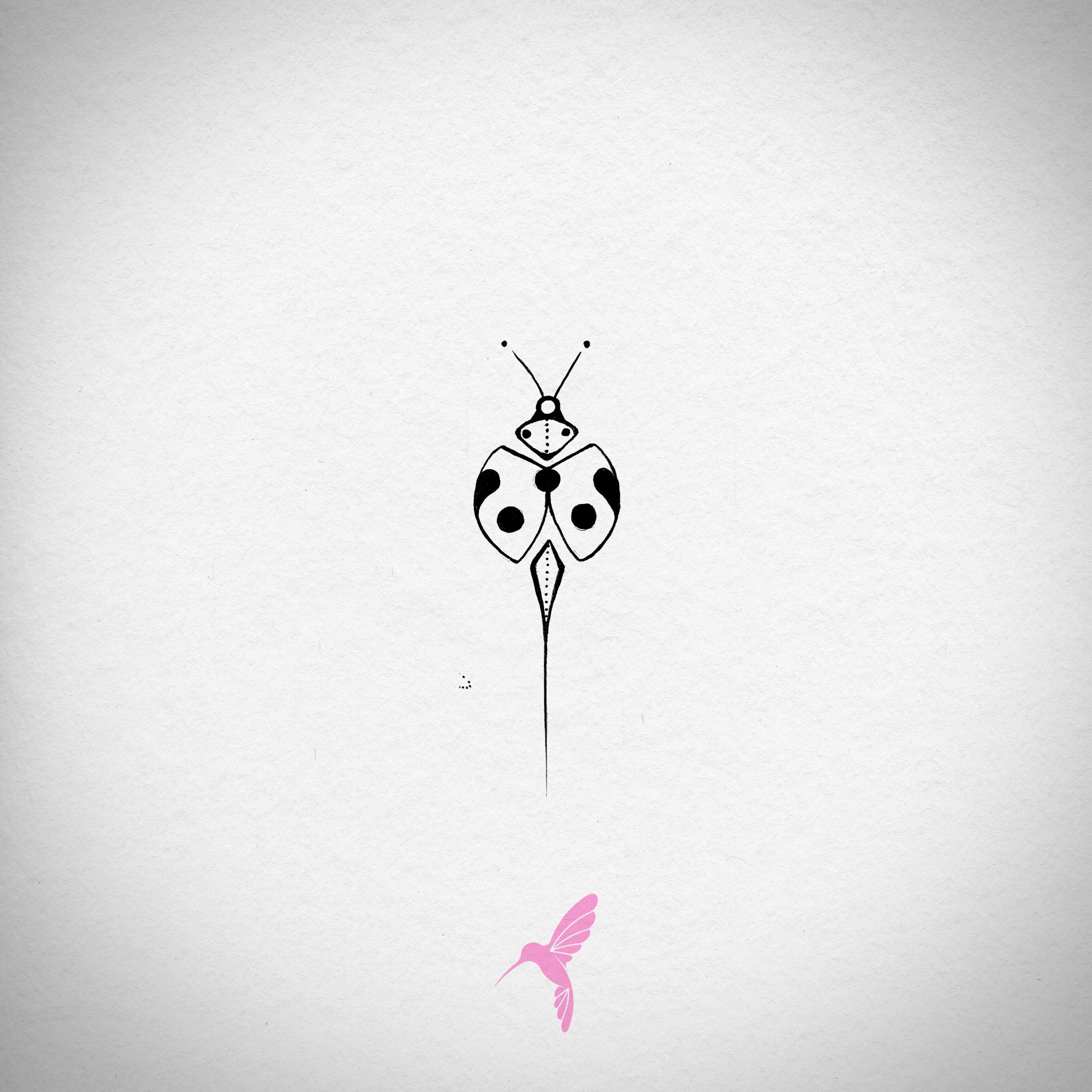 ladybug2.jpg