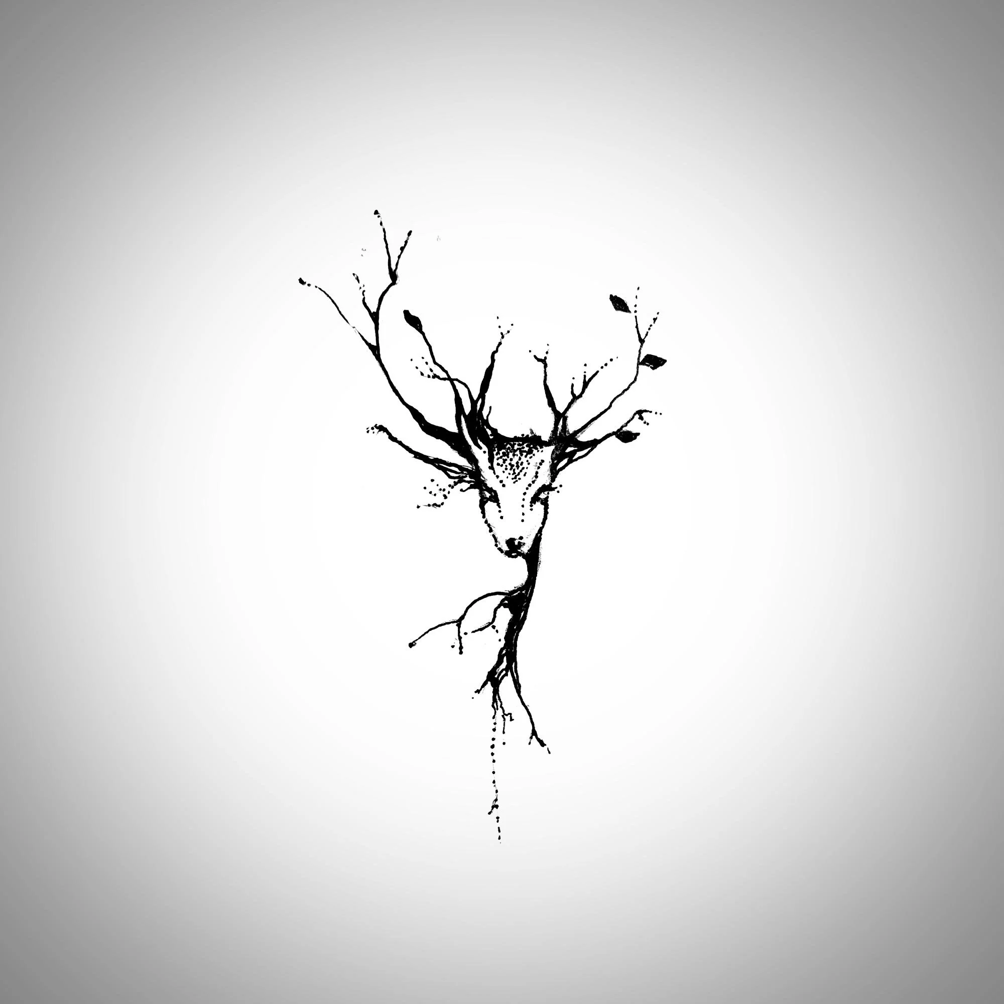 deertrees.jpg