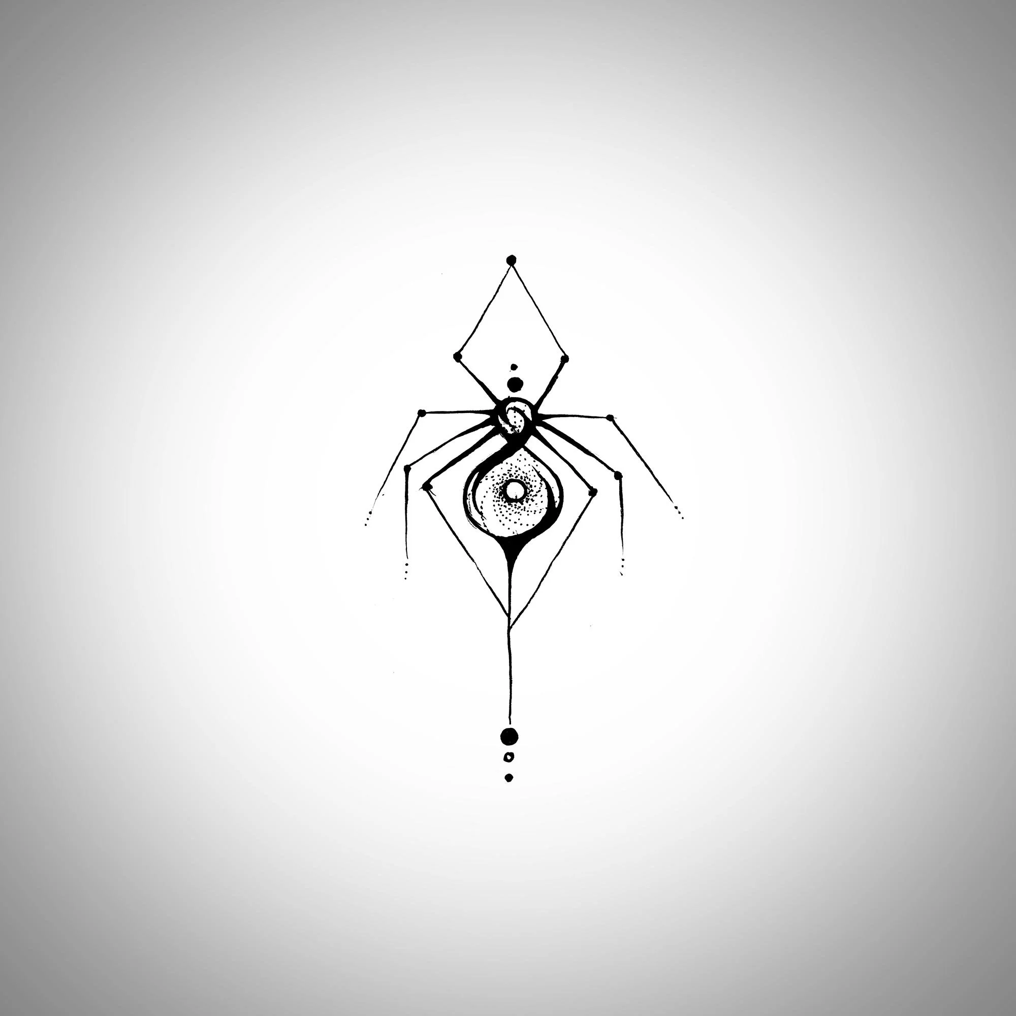 spider3.jpg