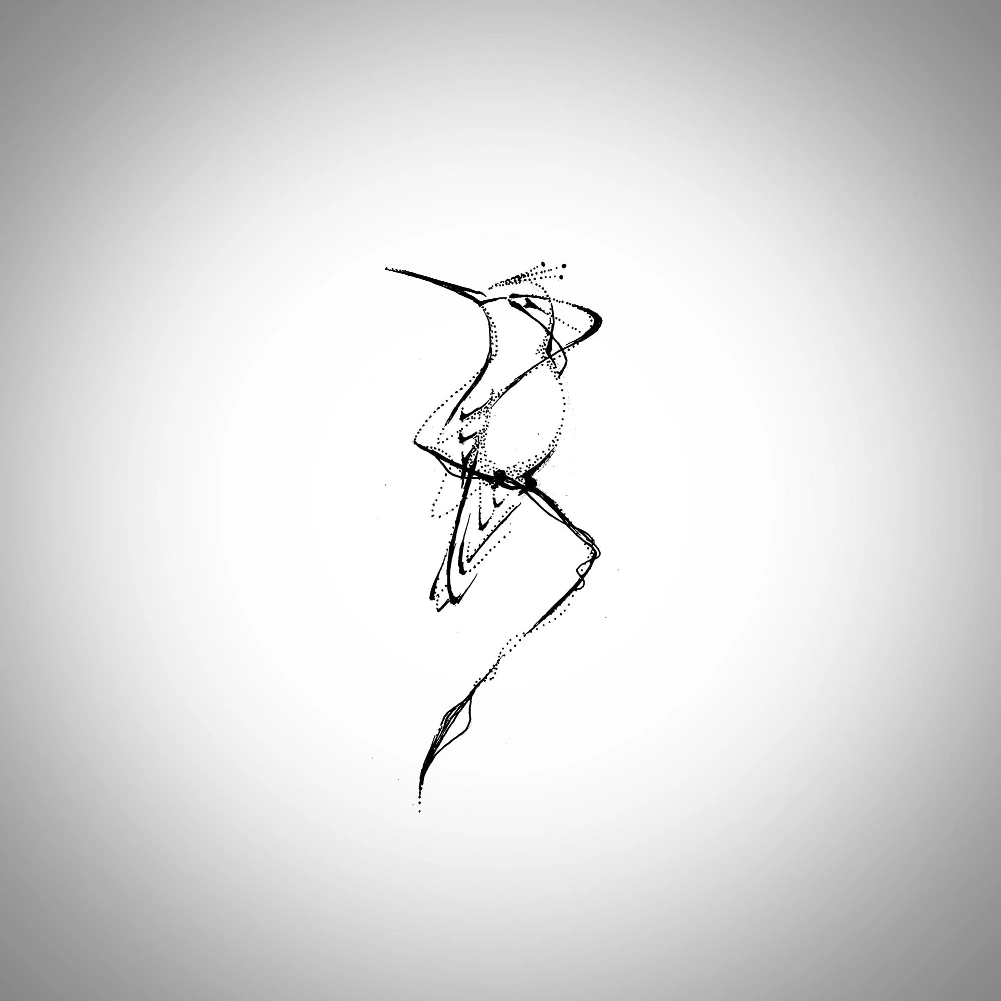 hummingbird02.jpg