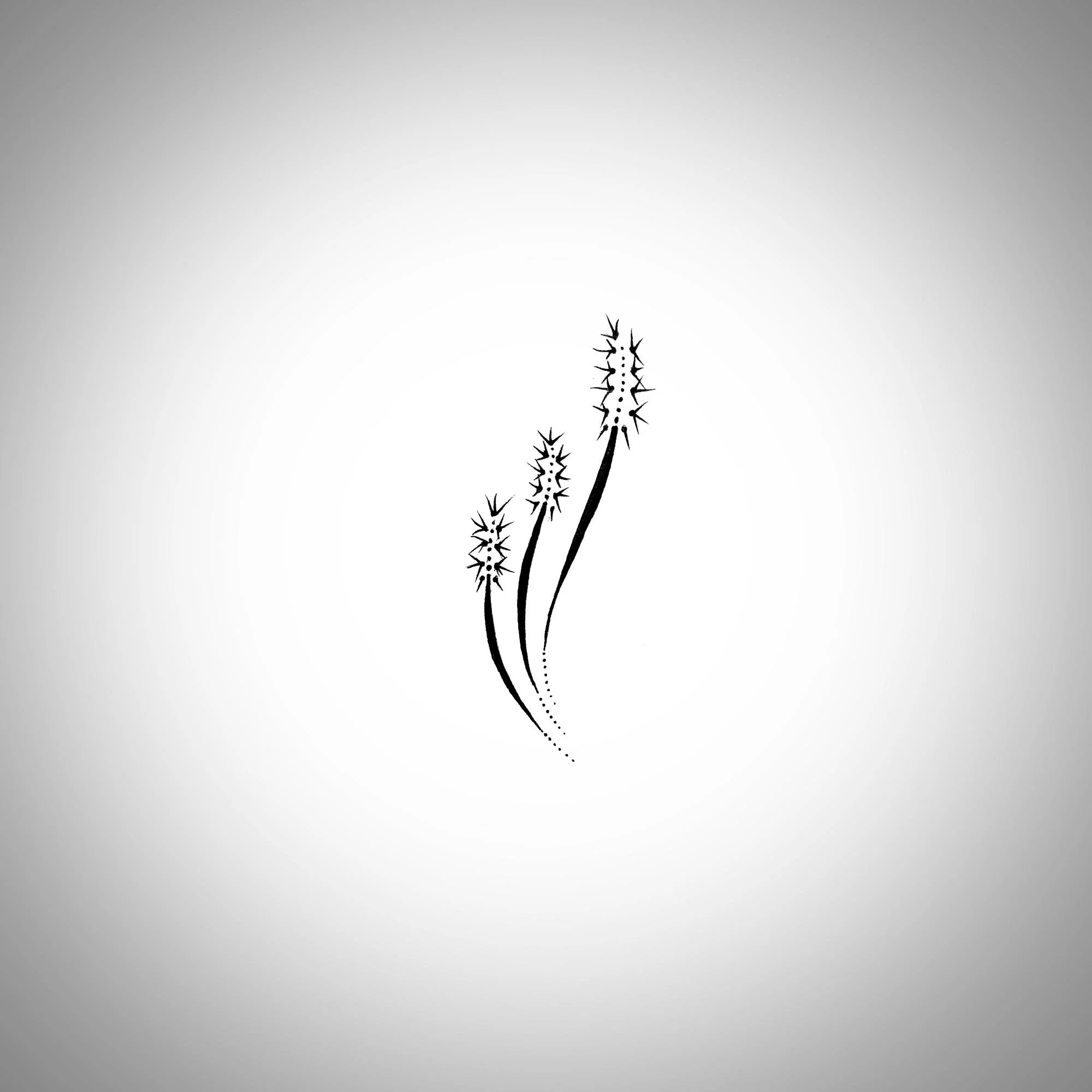 antflower.jpg