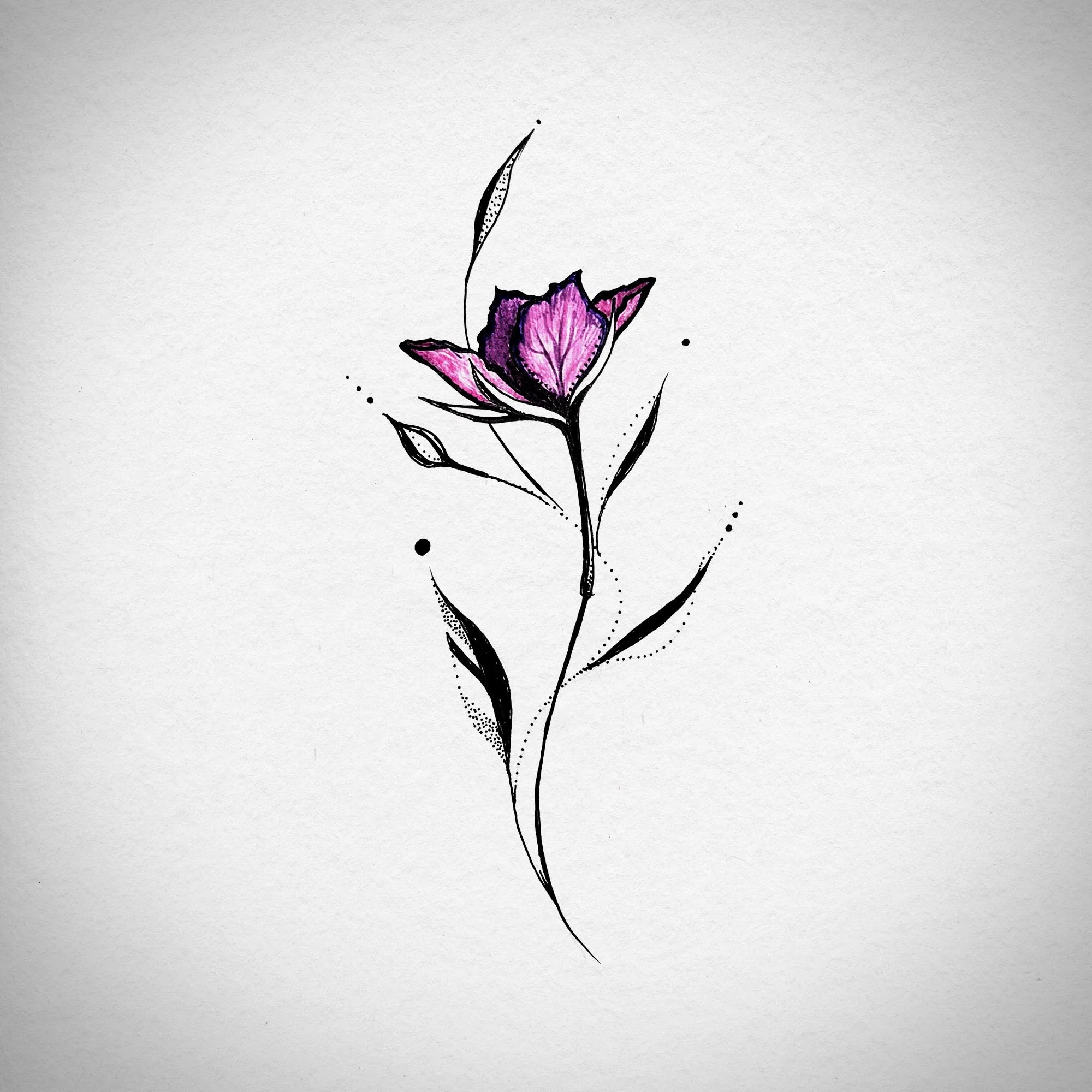 fireweed_blowing.jpg