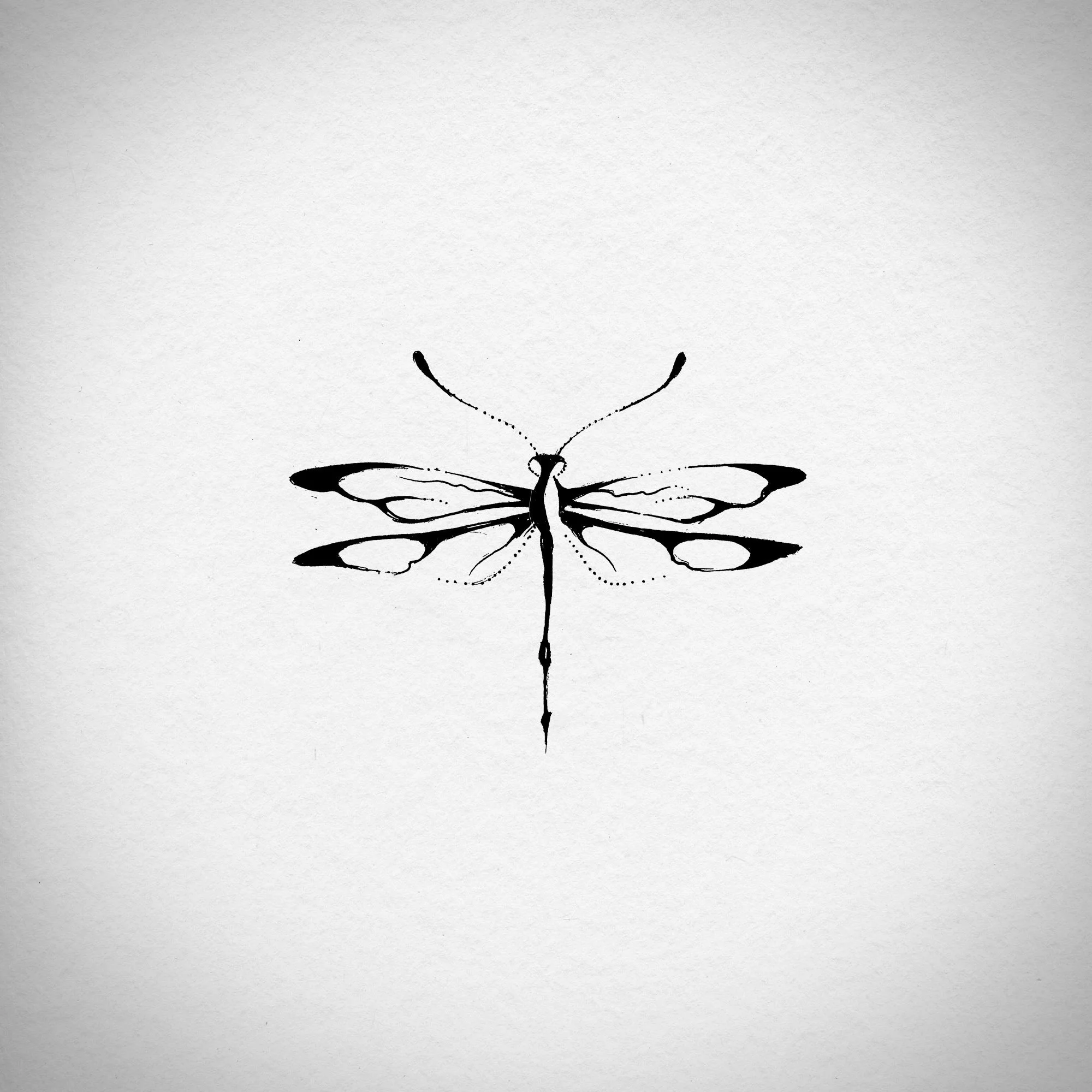 dragonfly.jpg