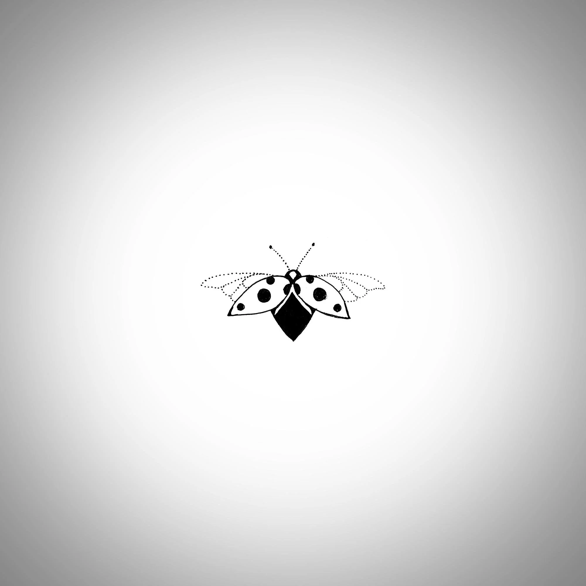 ladybug3.jpg