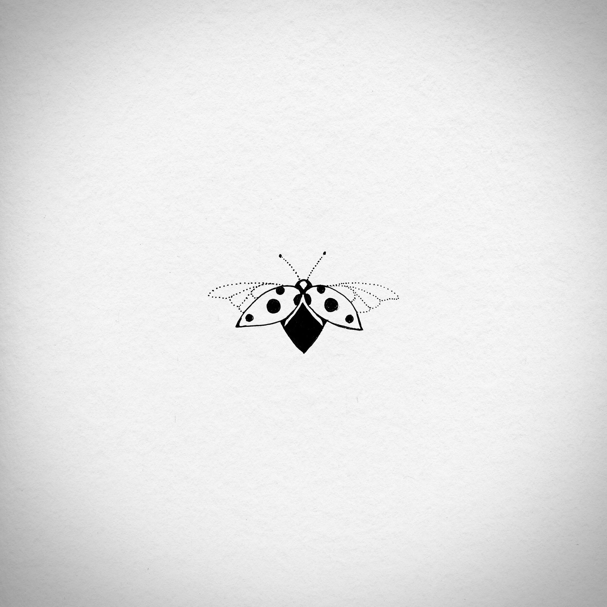 ladybug3.jpg