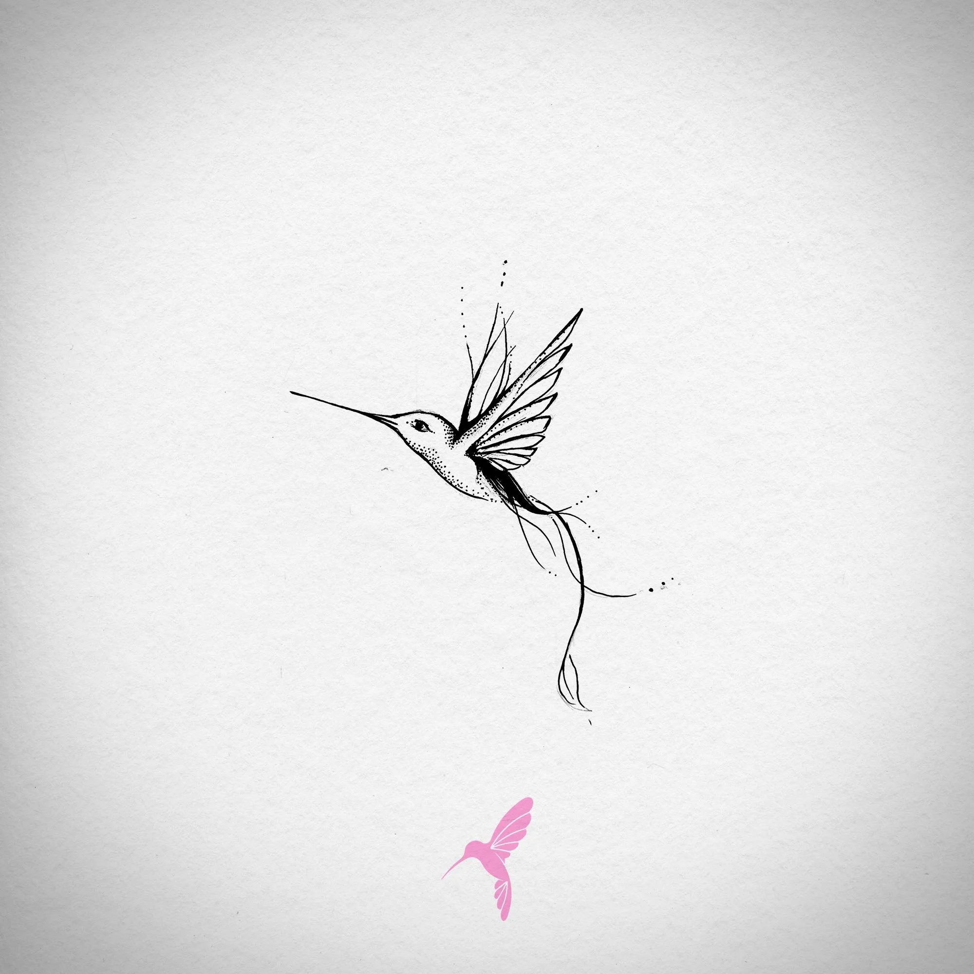 hummingbird01.jpg