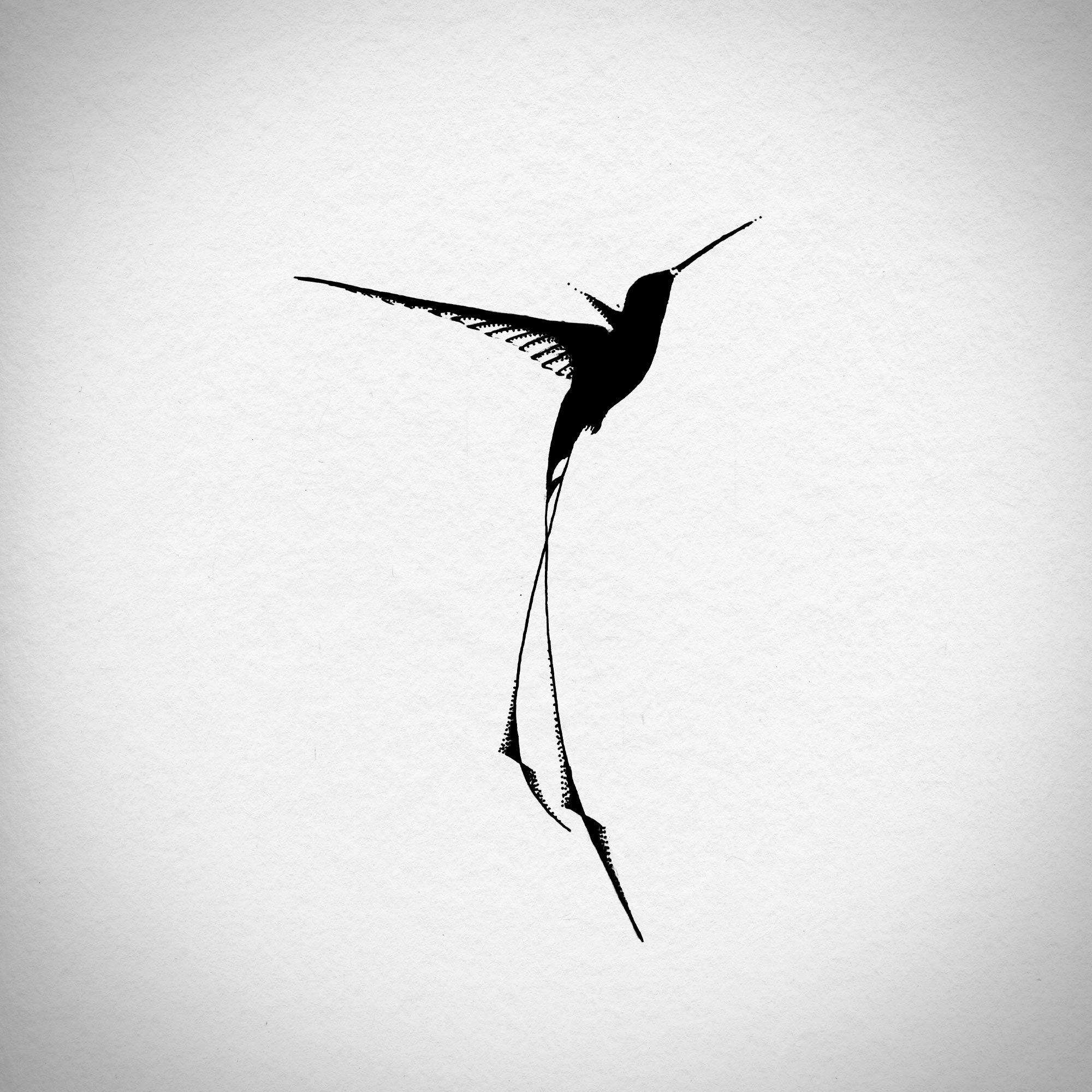 hummingbird4.jpg