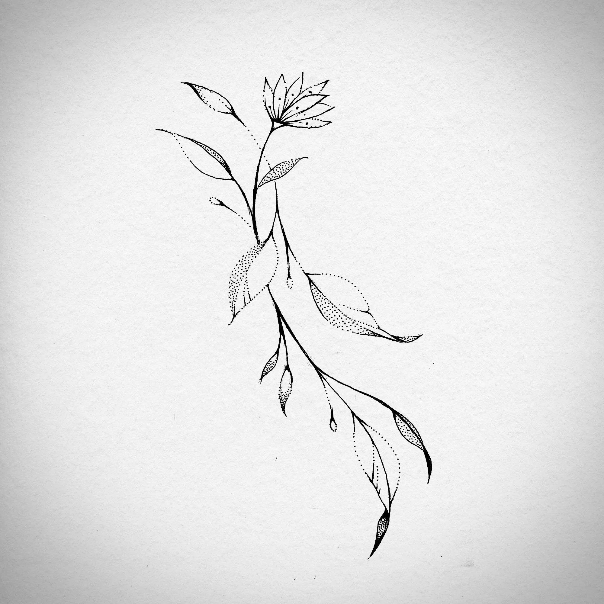 flower_leaves_01.jpg