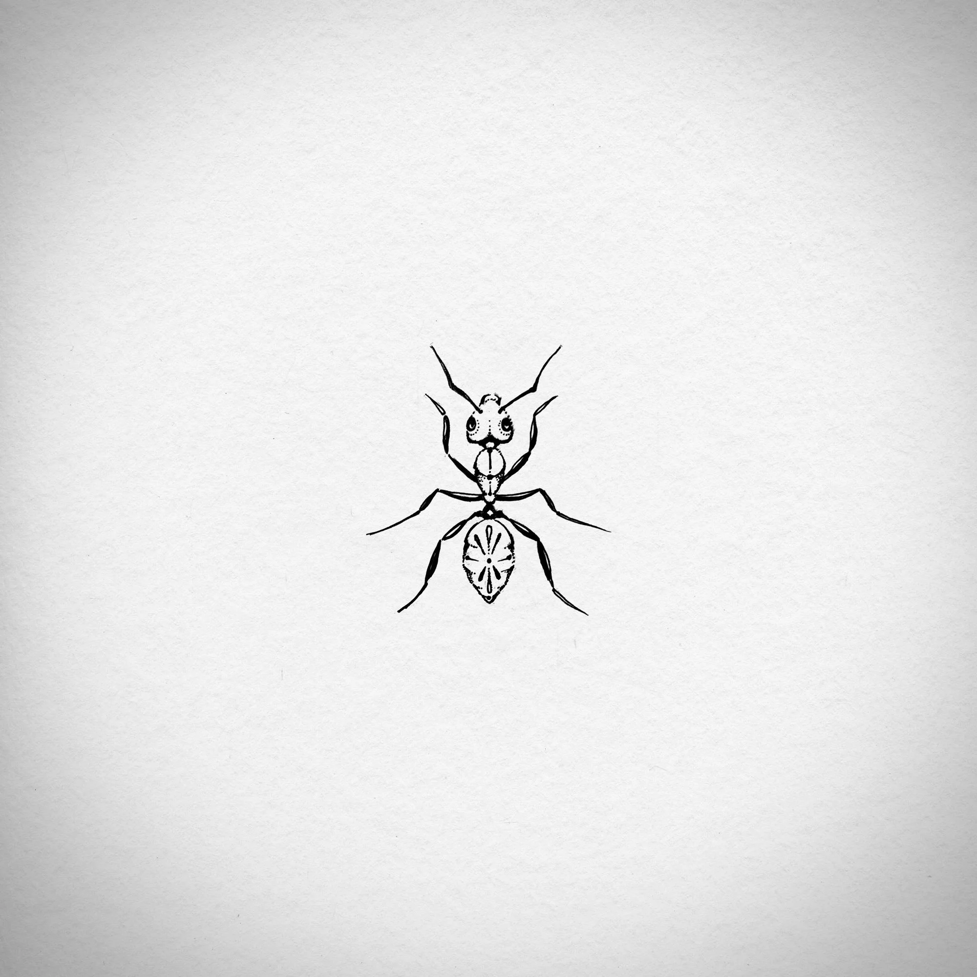 ant.jpg