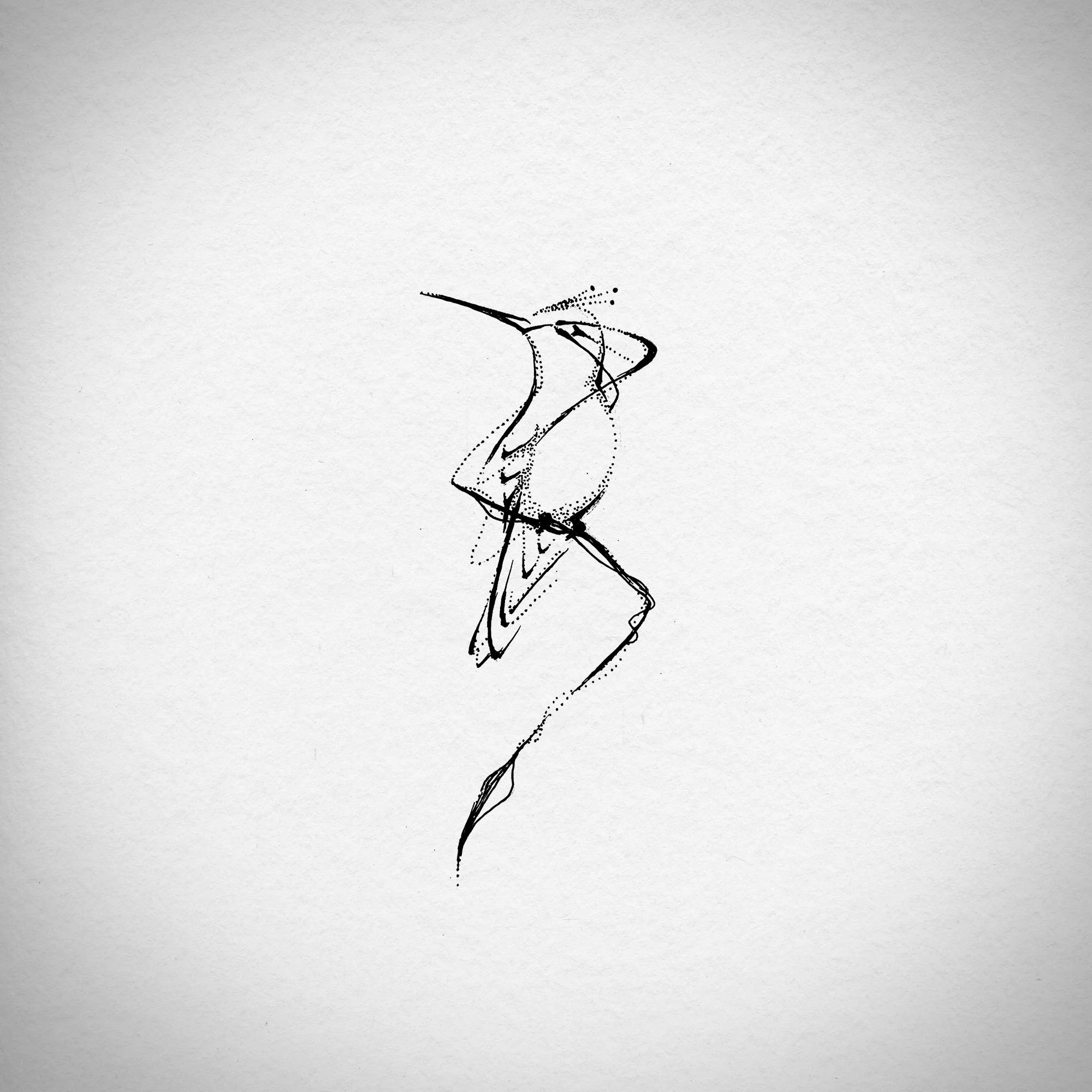 hummingbird02.jpg