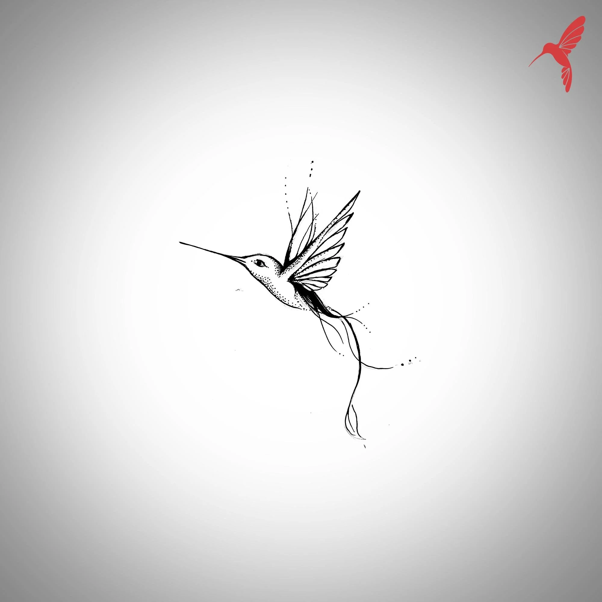 hummingbird01.jpg