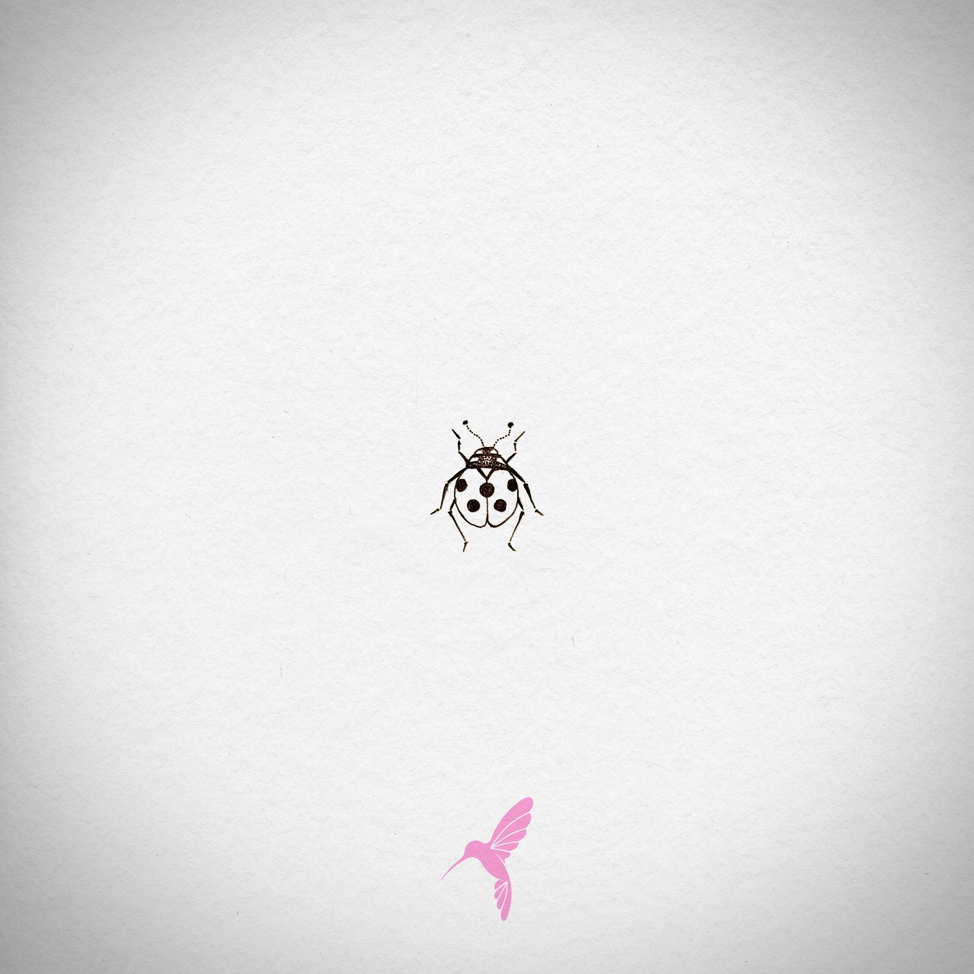 ladybug1.jpg
