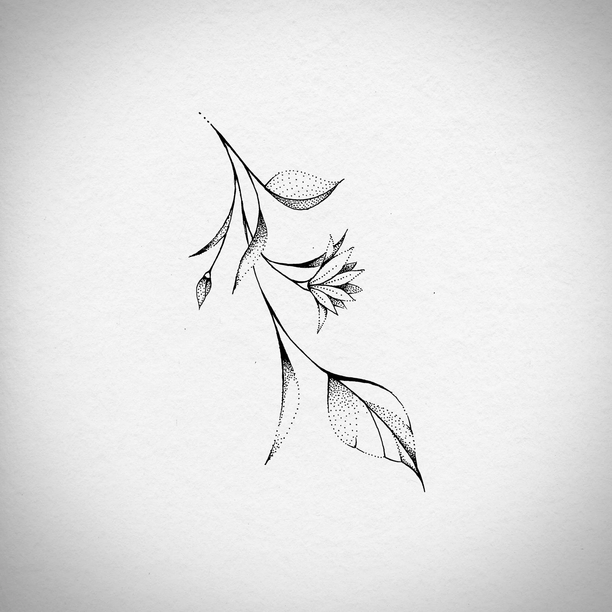 flower_leaves_02.jpg