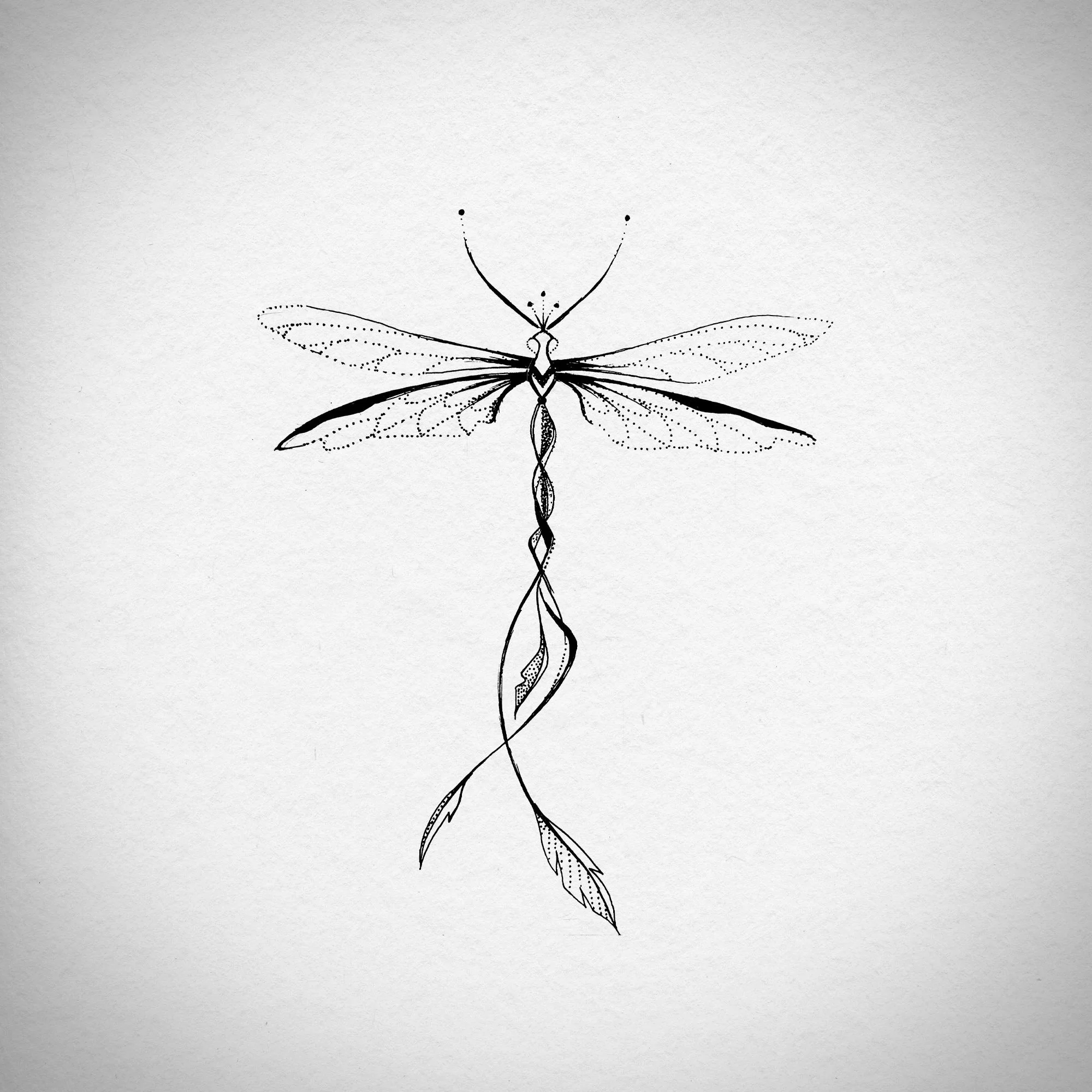 dragonfly2.jpg