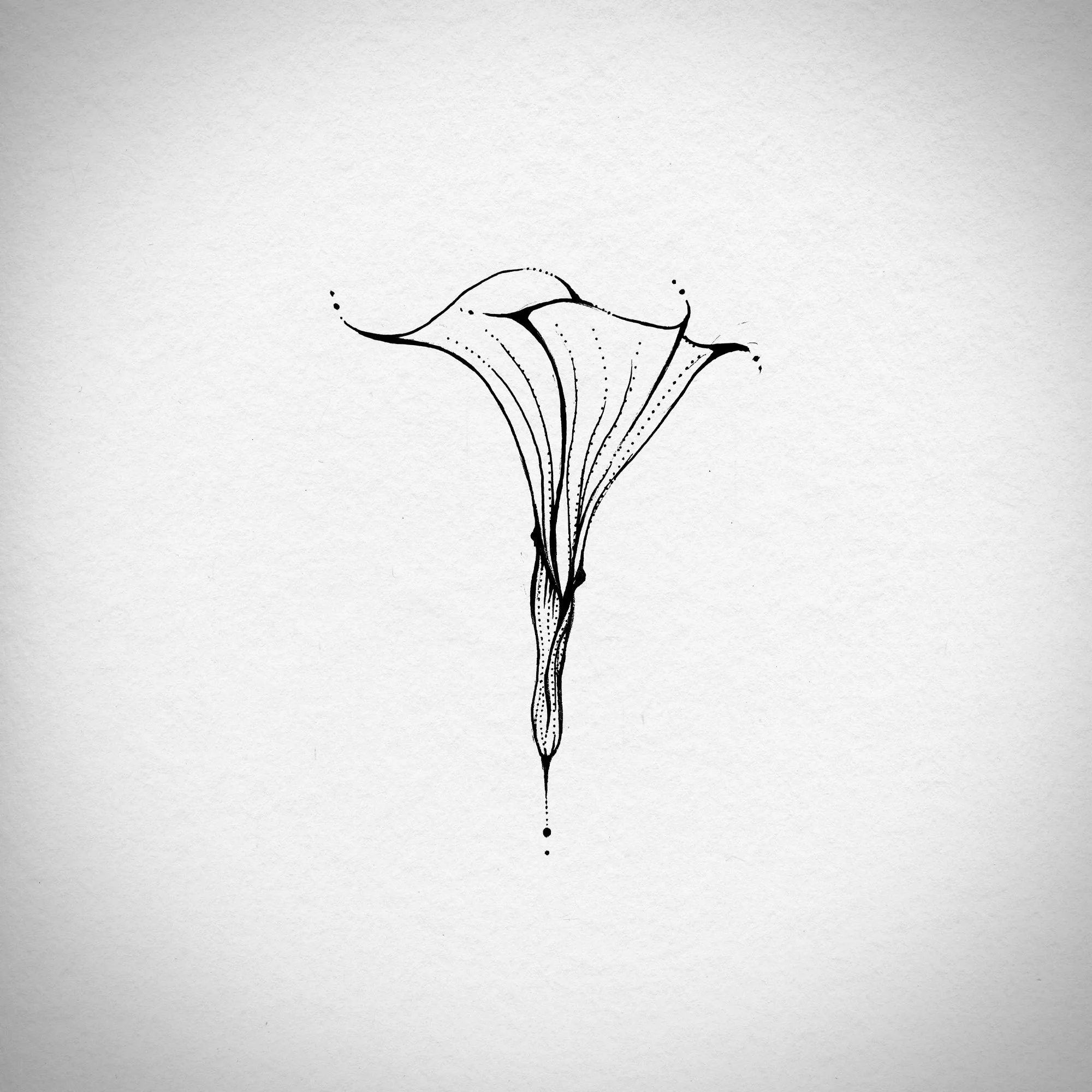 flower.jpg