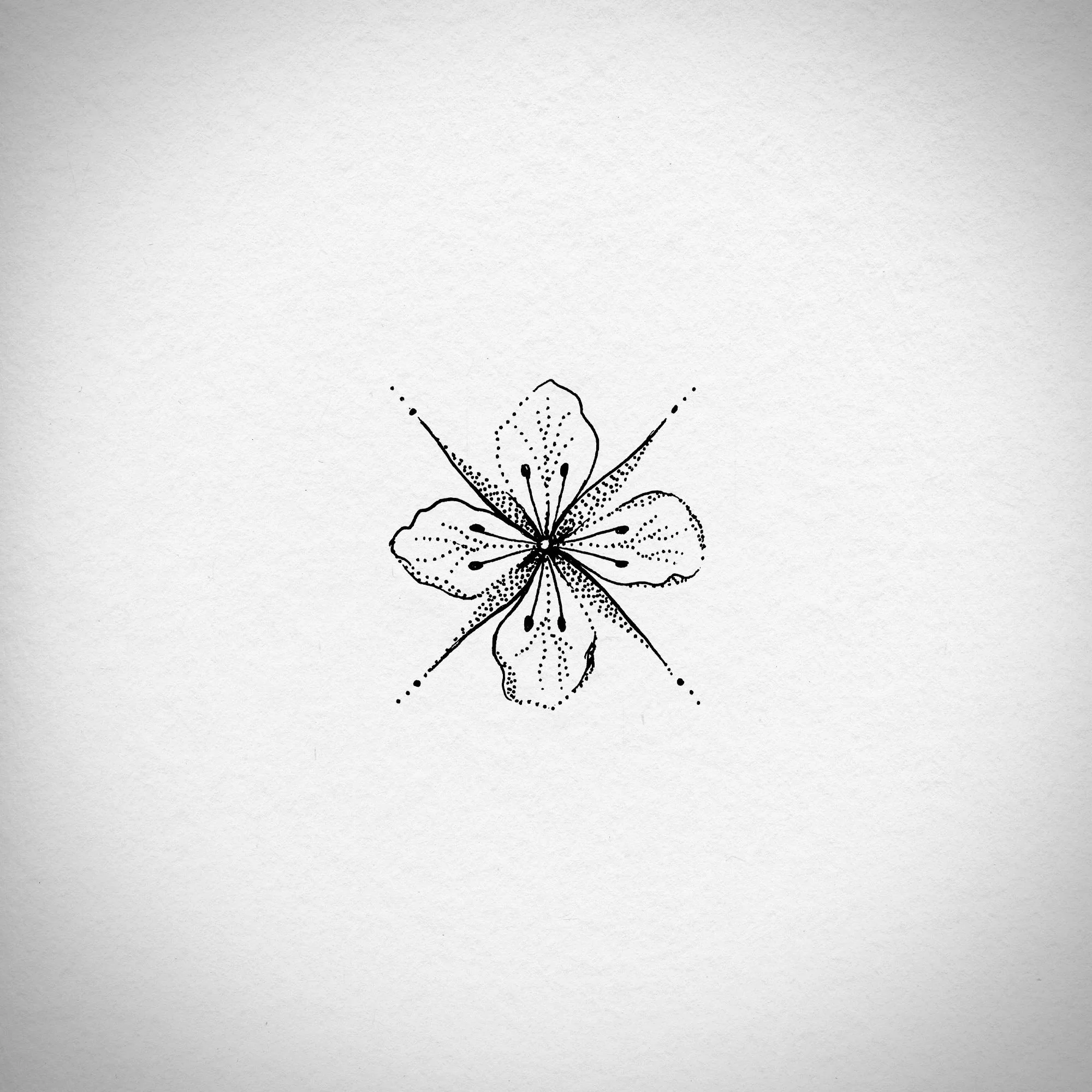 fireweed_mandala_01.jpg