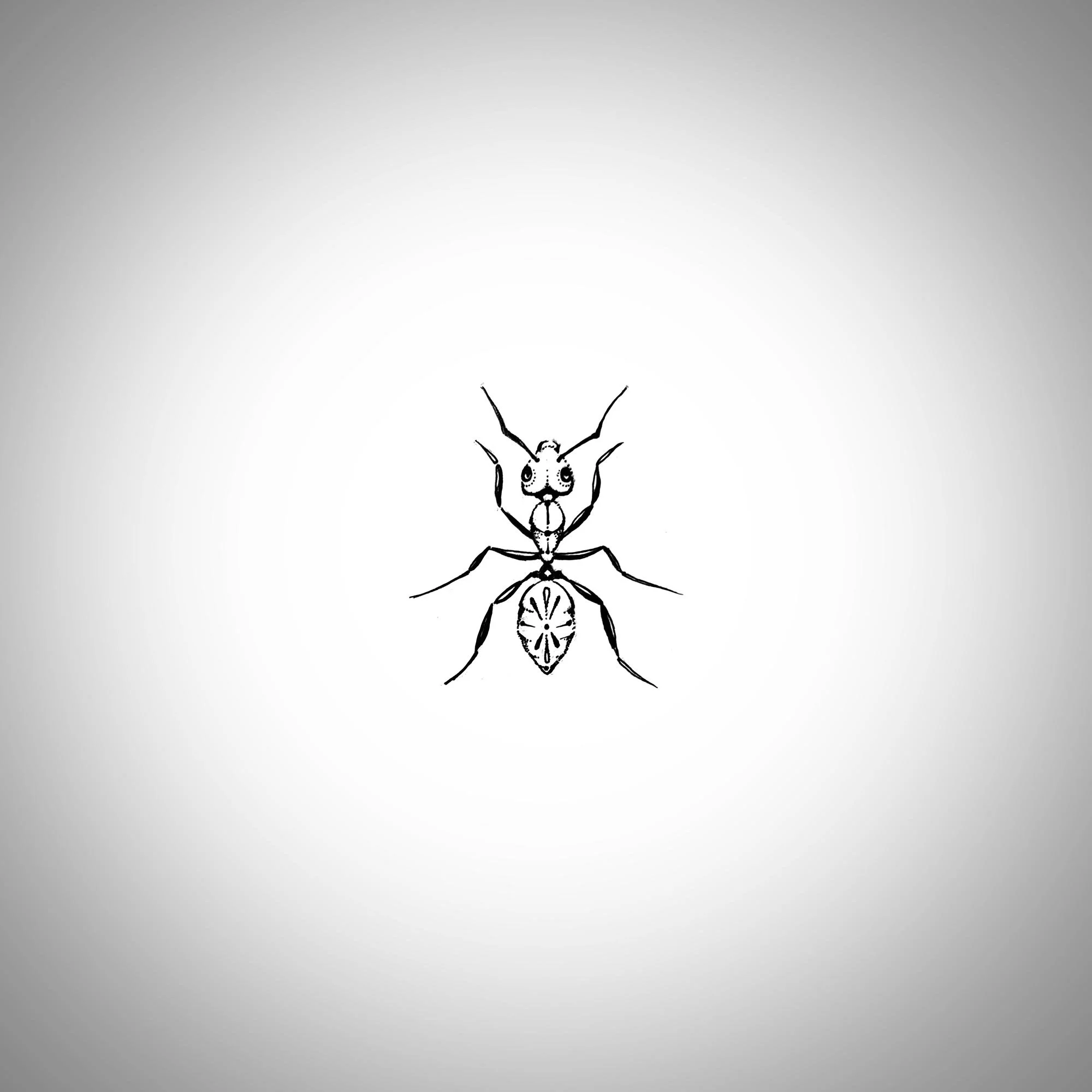 ant.jpg