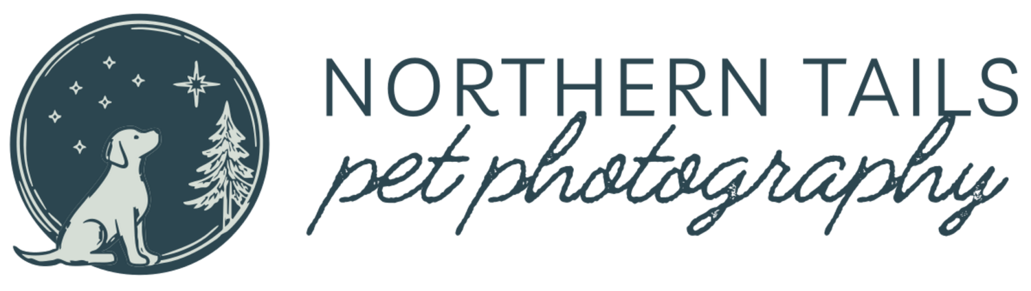 Northern Tails Pet Photography