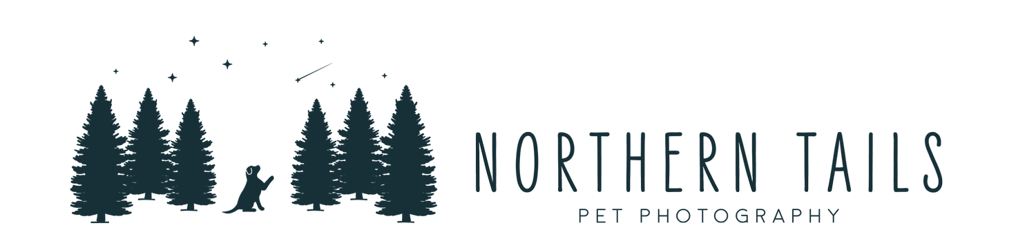 Northern Tails Pet Photography