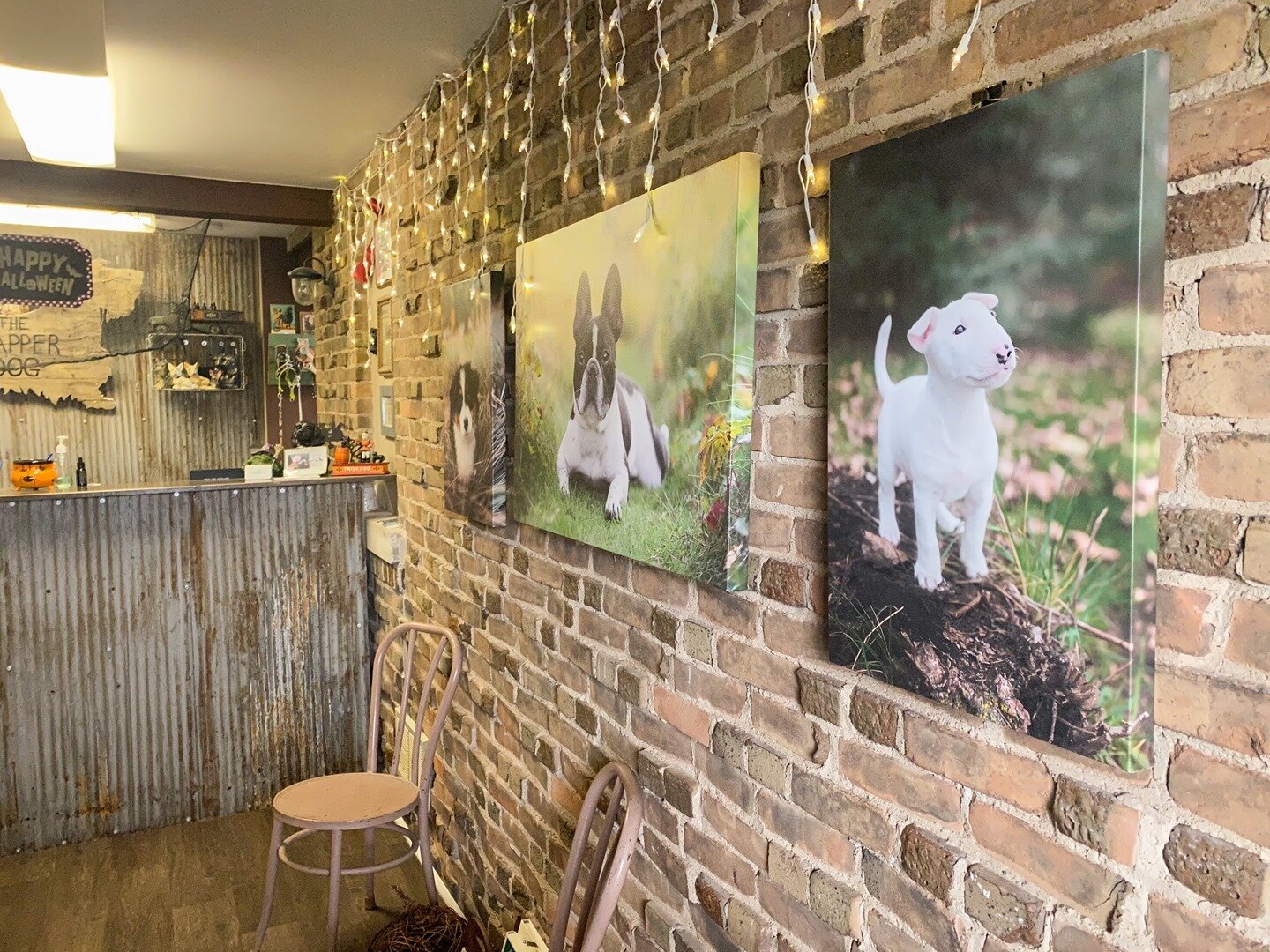 Today I visited the Dapper Dog Grooming Saloon to hang up a canvas wall art display of my photographs. Hailey is an amazing and kind dog groomer who I have known for many years. ⁠I just love the little shop she created, your dog might too!
⁠
⁠
⁠
⁠
⁠
