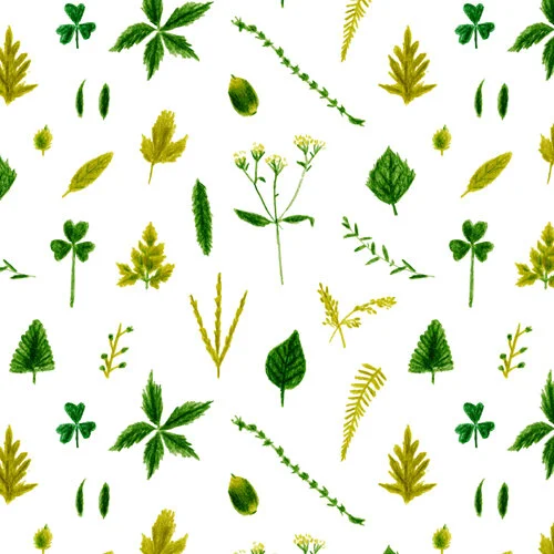 PATTERN 2 - FOREST-03.JPG