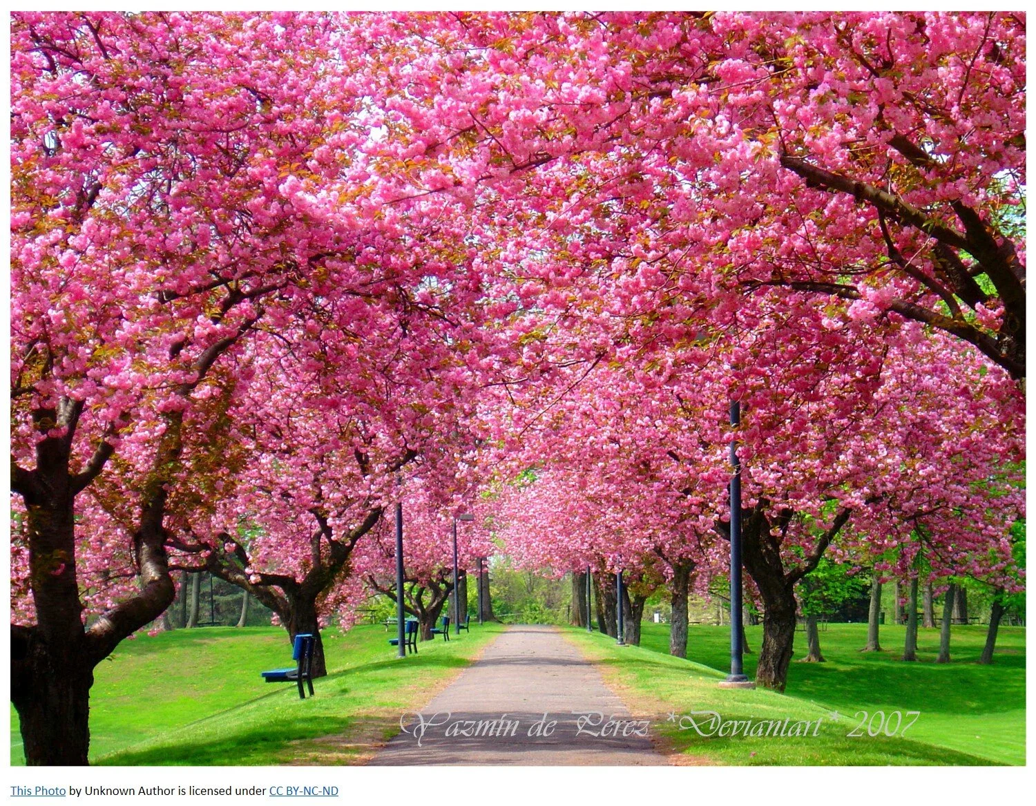 ANNIE ARMSTRONG — First Baptist Church 240 Hillstown Rd Manchester, CT