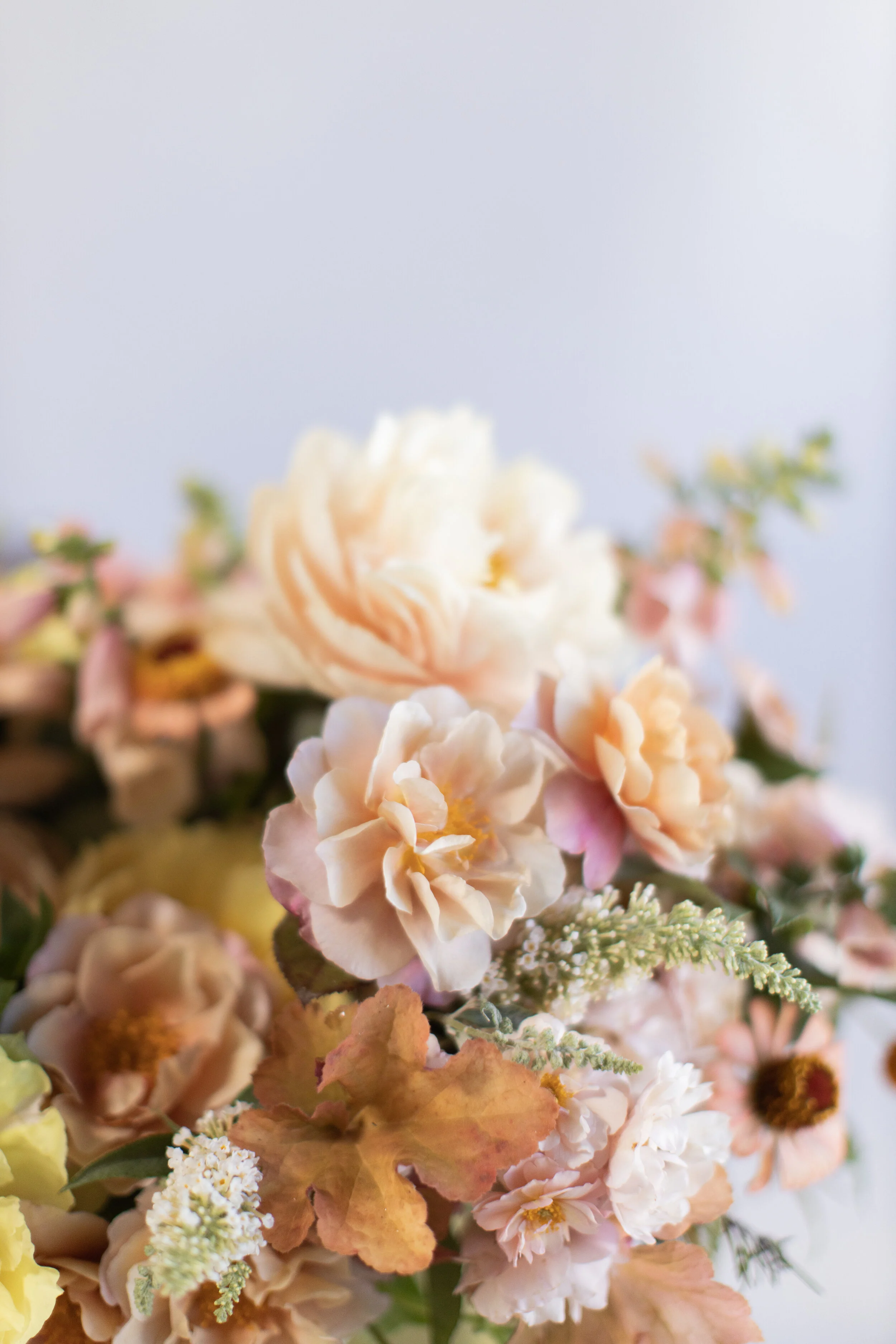 Shopblooms
