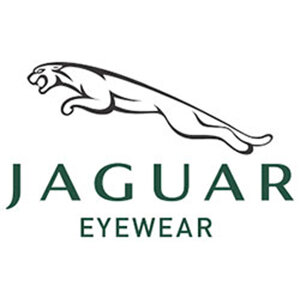 brands-jaguar.jpg