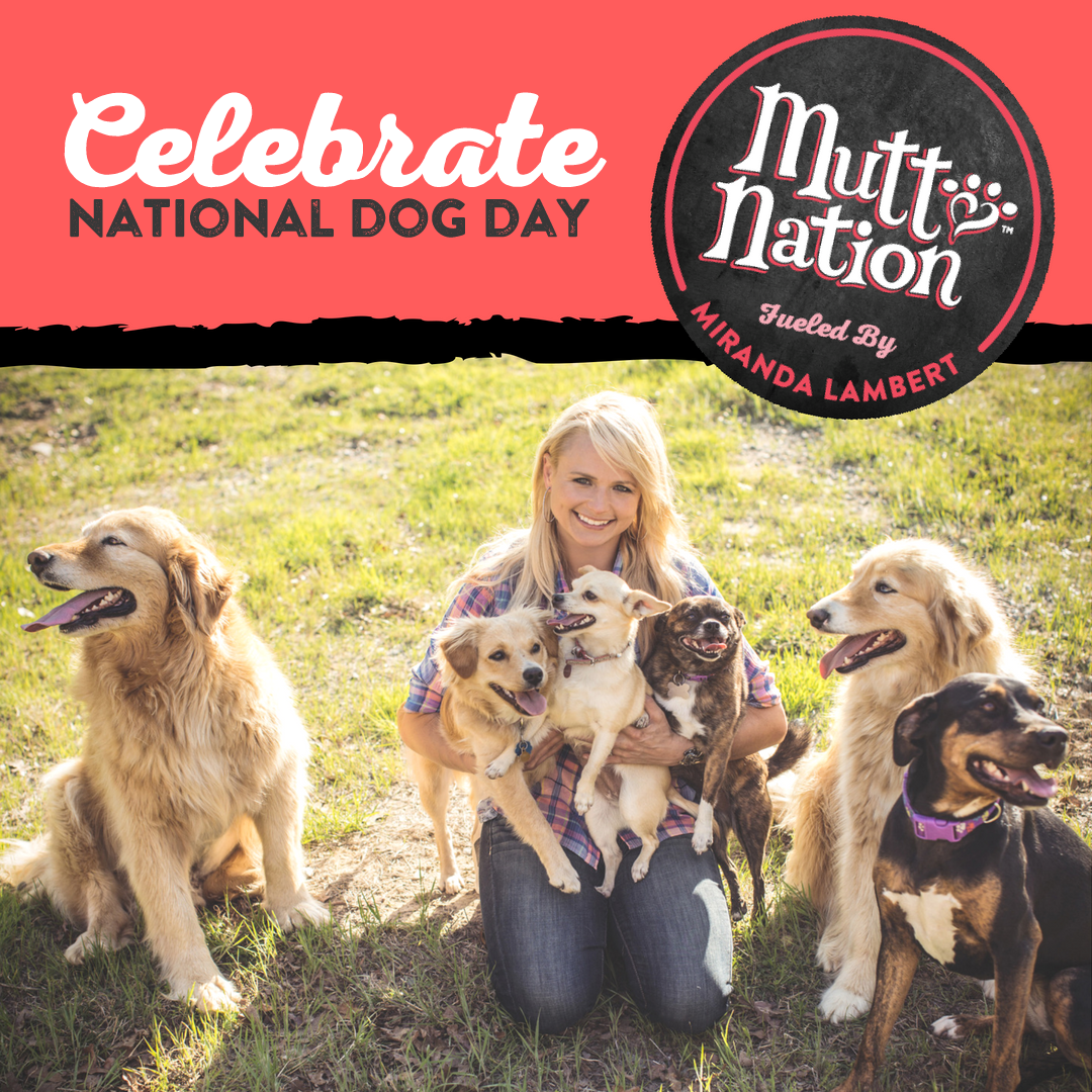 muttnation-nationaldog-1.png